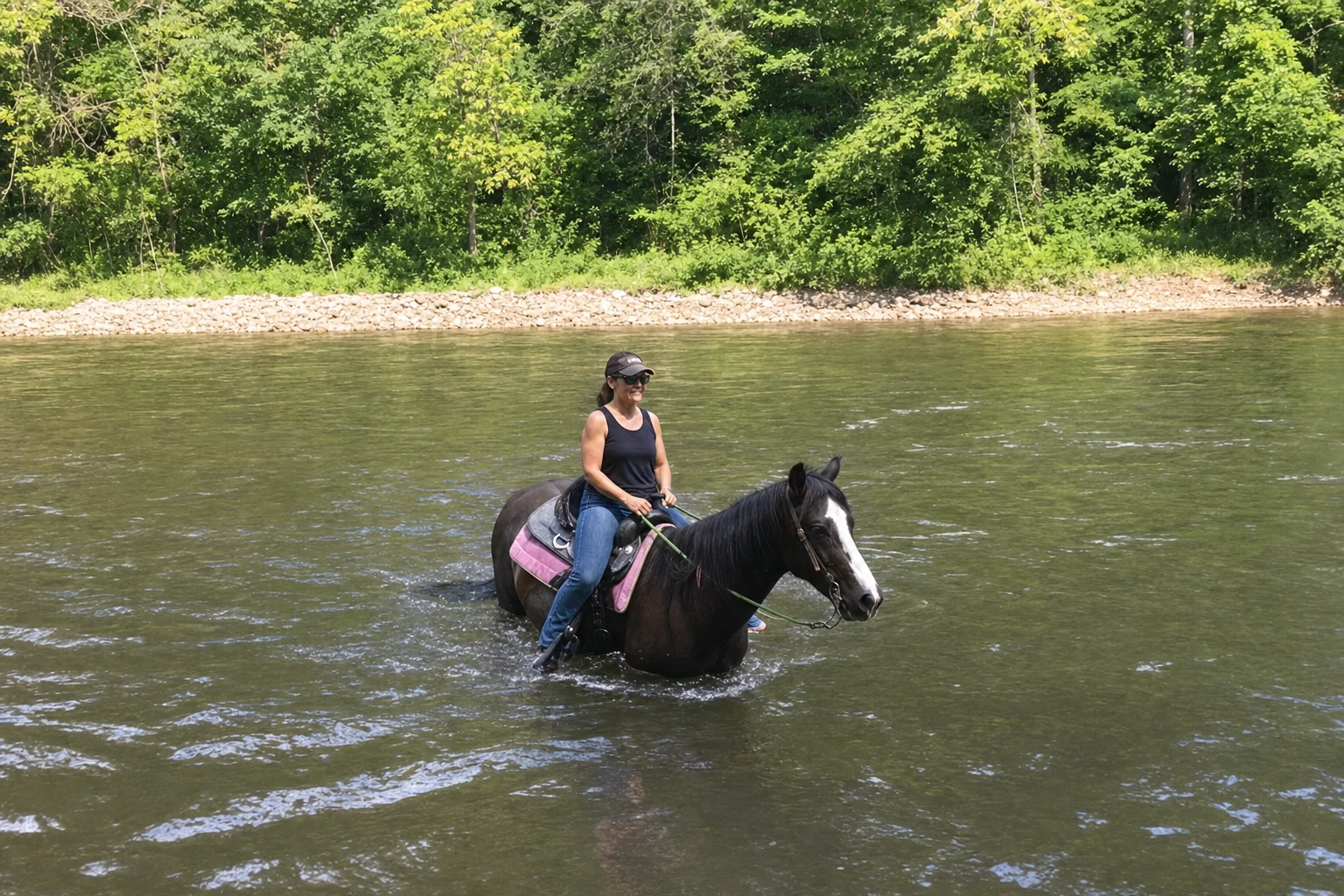 Chattahoochee River Horse Crossing
