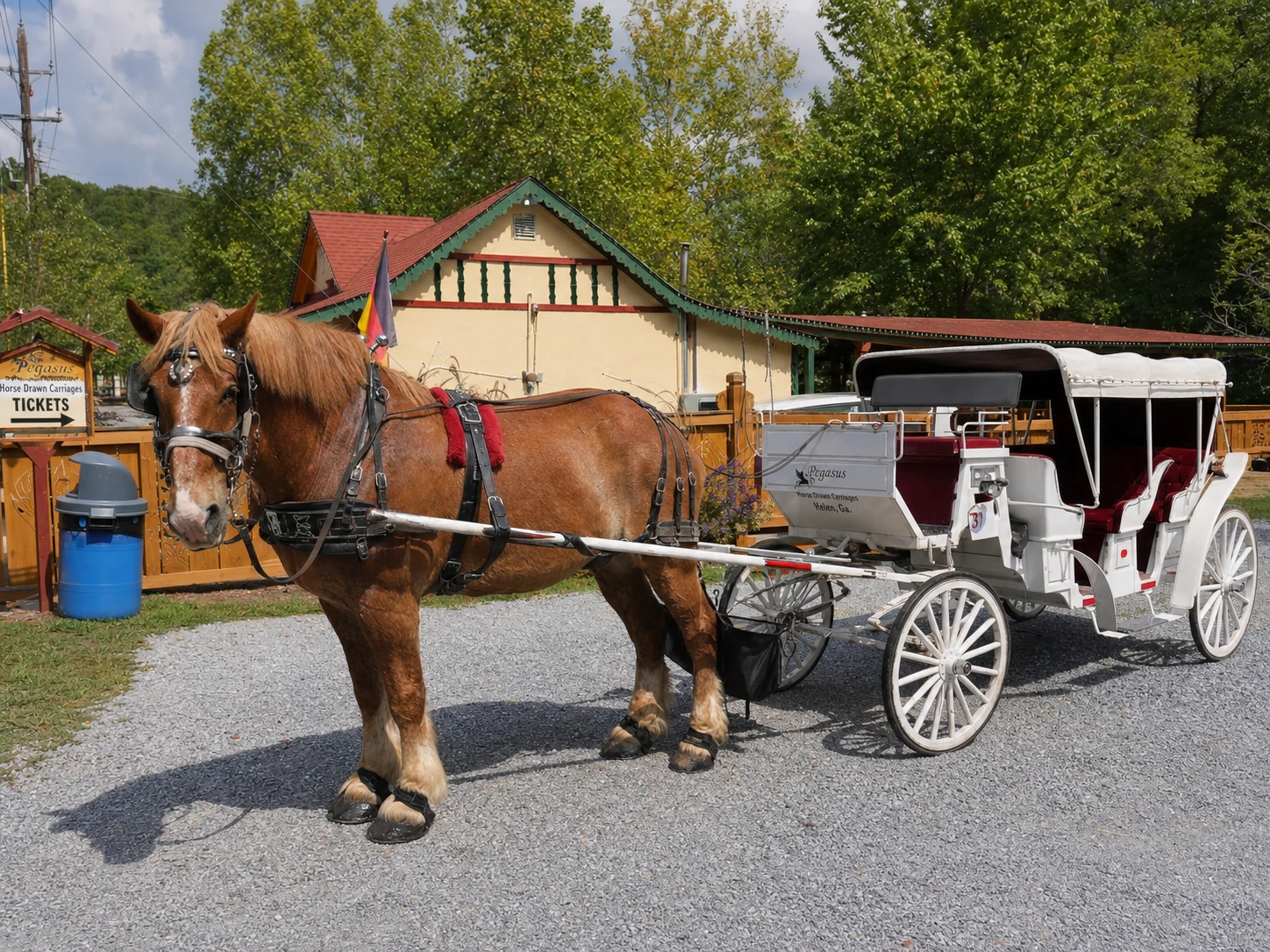 Pegasus Horse Drawn Carriages