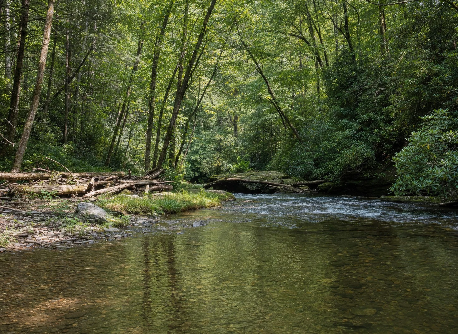 Chattahoochee River Headwaters