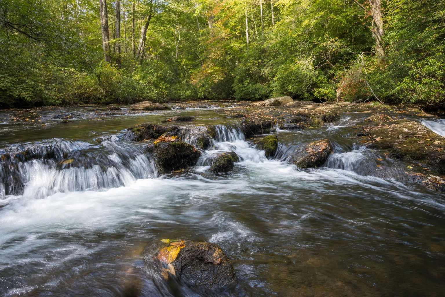 Dukes Creek