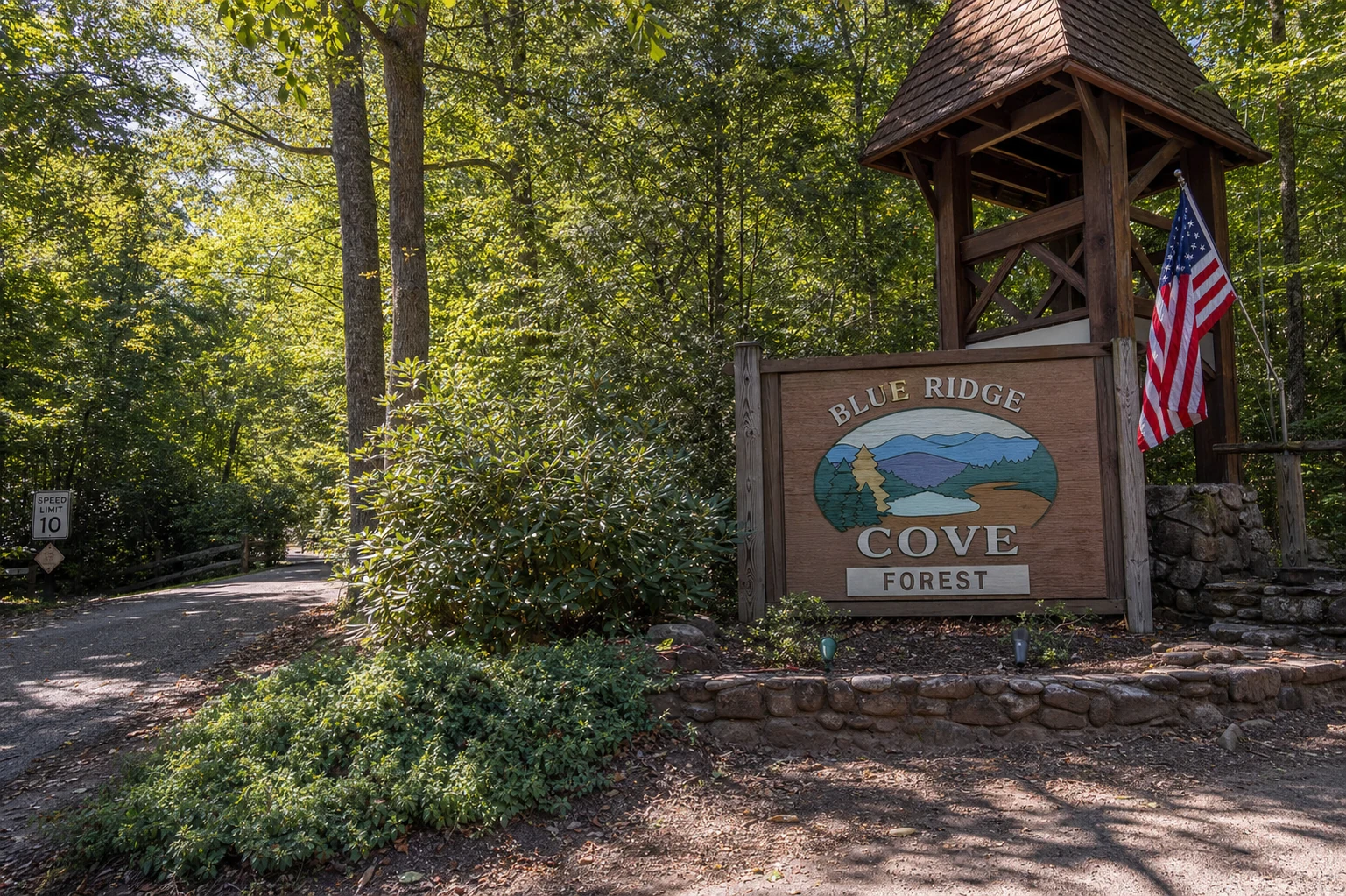 Blue Ridge Cove Forest