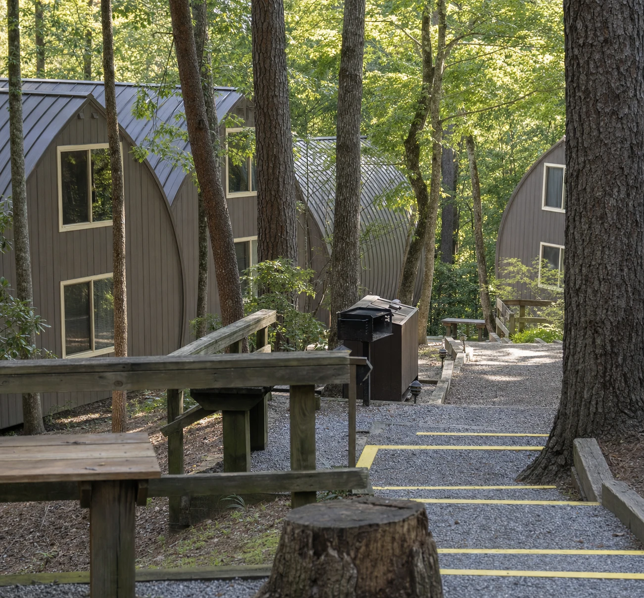 Unicoi State Park Cabins