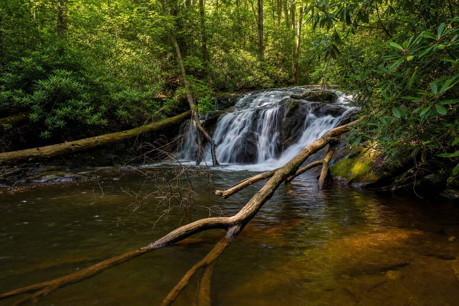 Smithgall Woods State Park