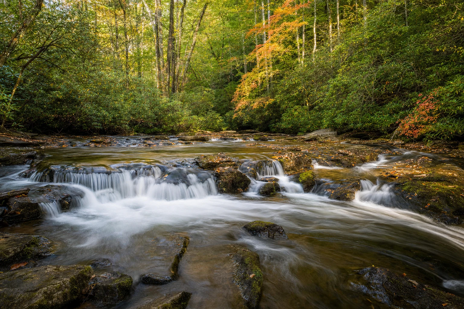 Smithgall Woods State Park