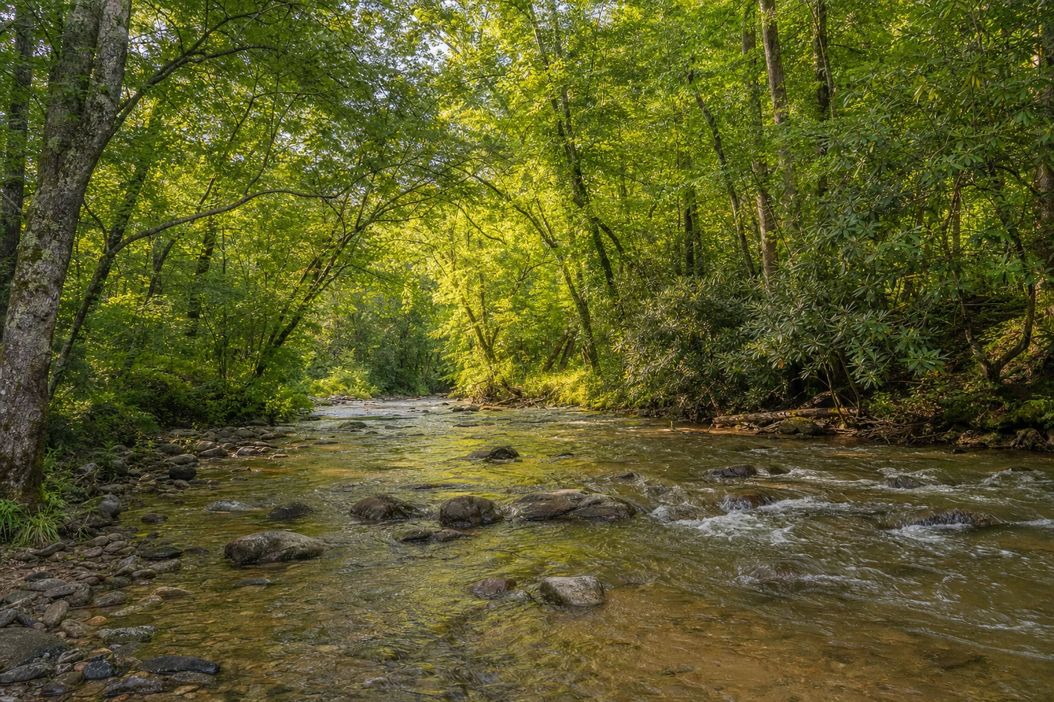 Chattahoochee River Helen
