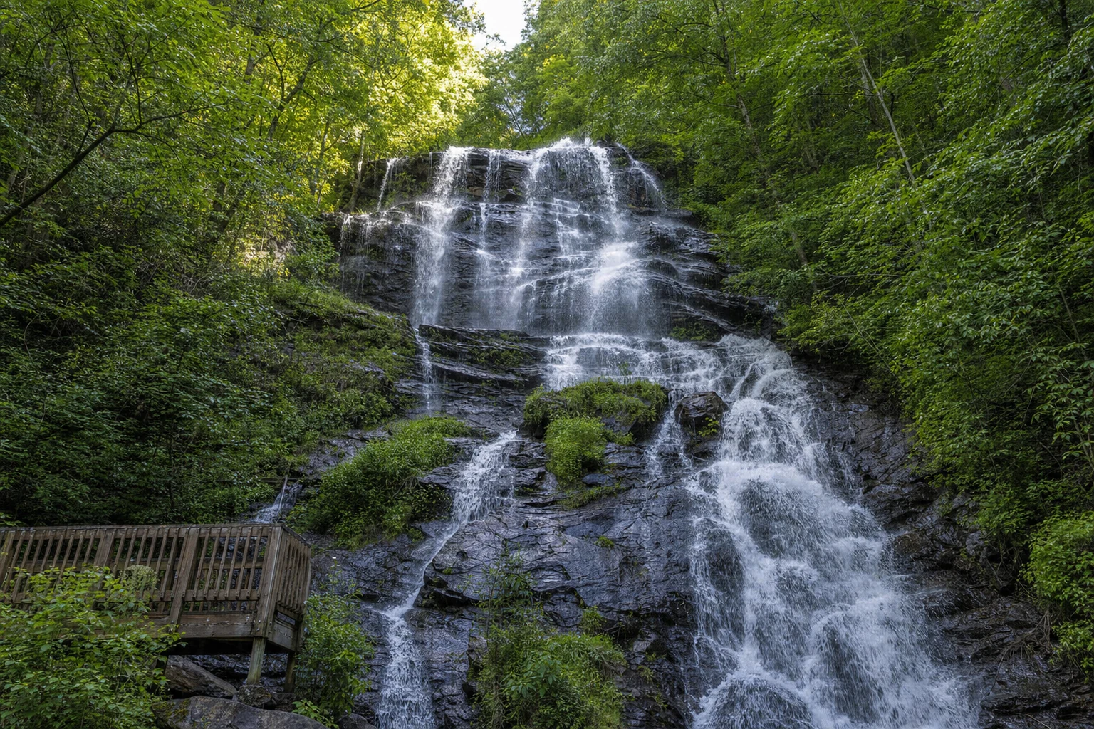 Amicalola Falls State Park