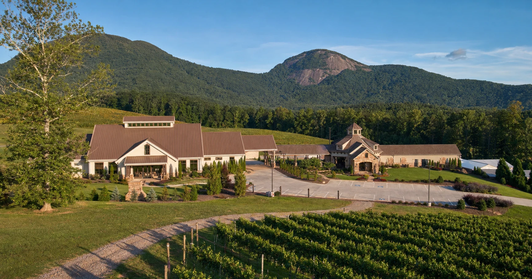Yonah Mountain Vineyards
