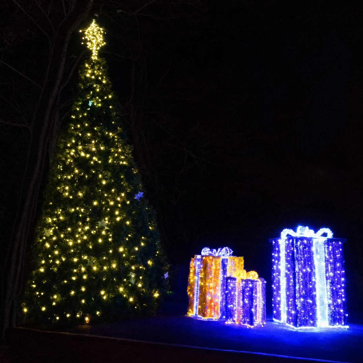 Mountain Country Christmas in Lights