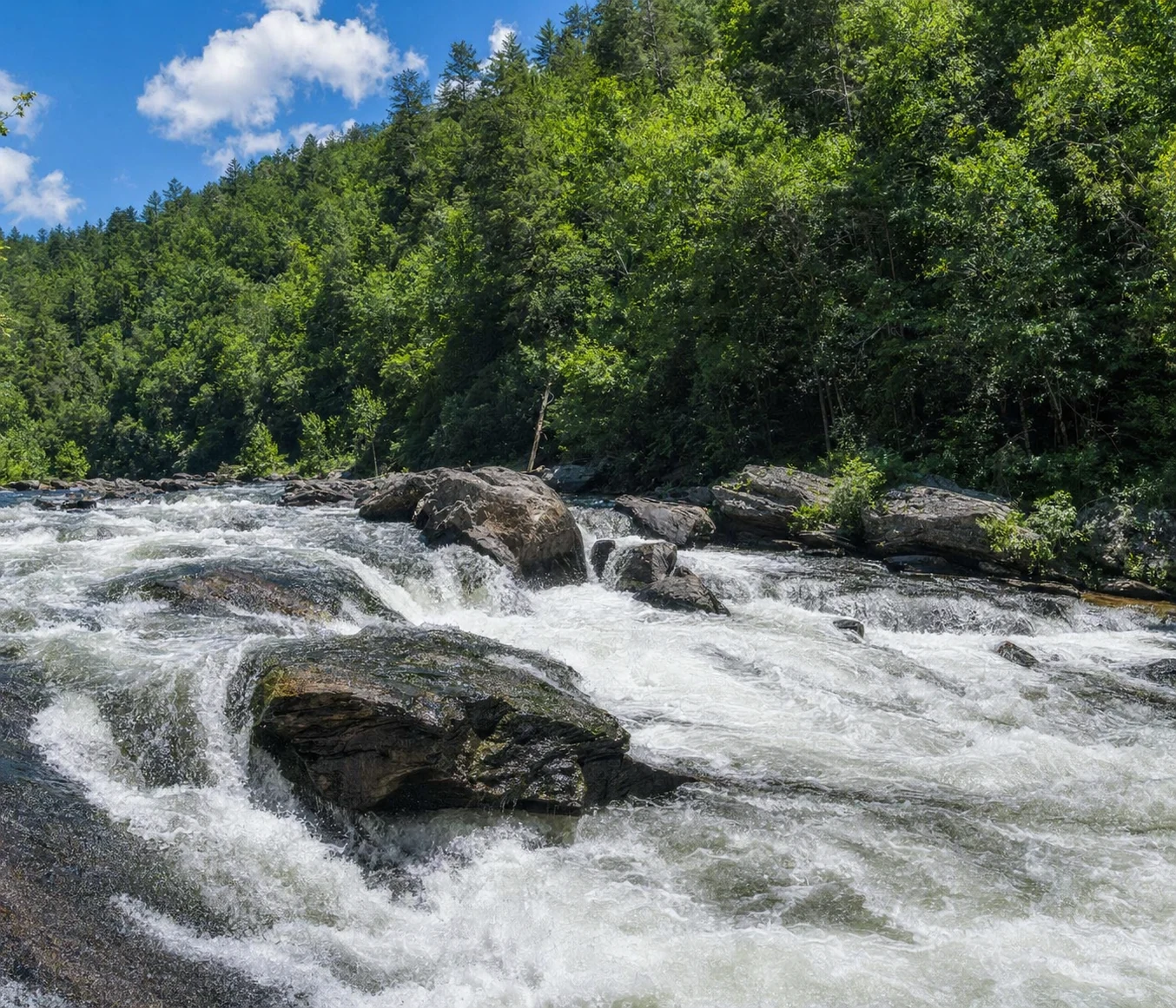 Whitewater on the Chattooga Wild and Scenic River