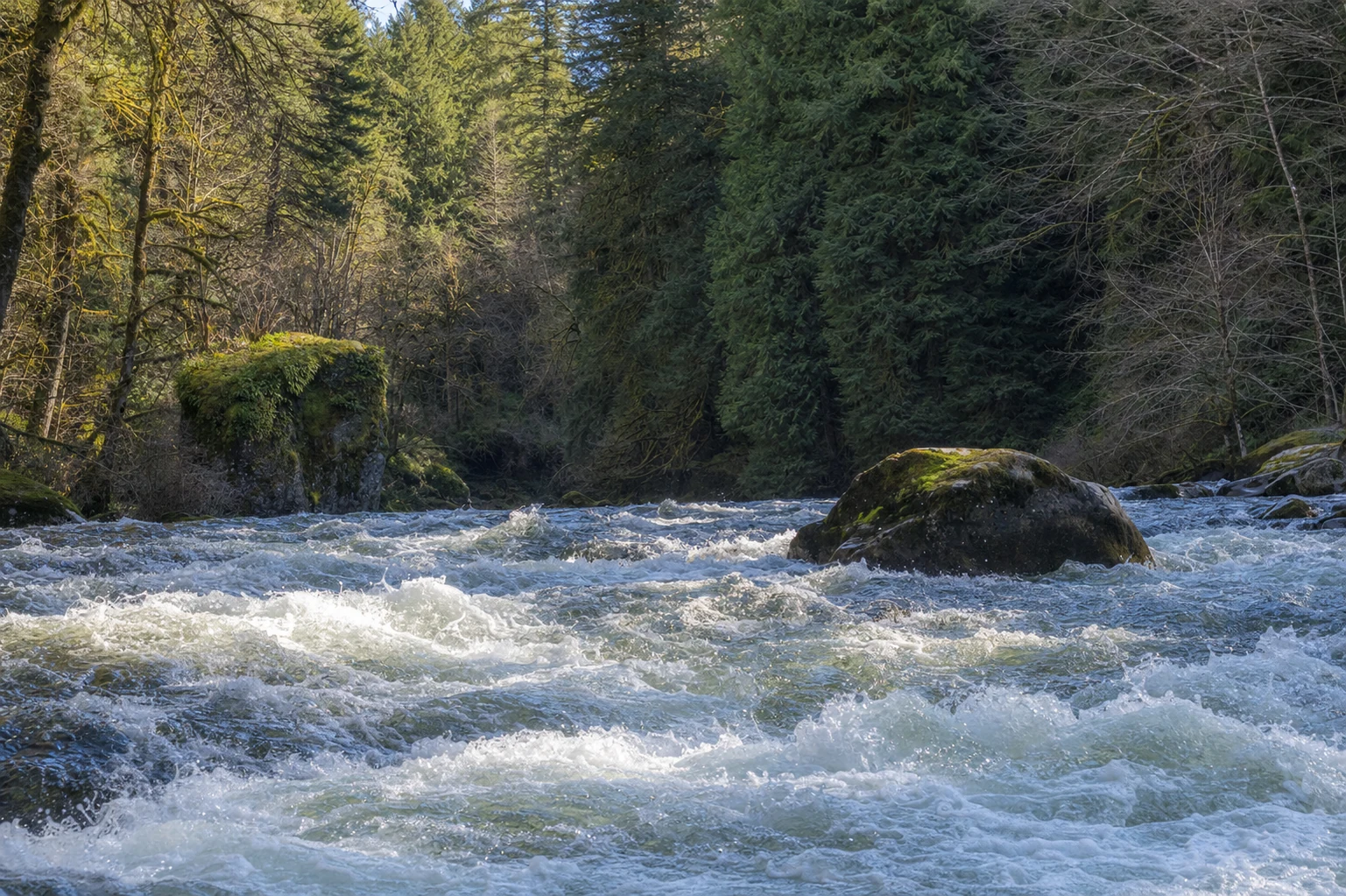 Chestatee River