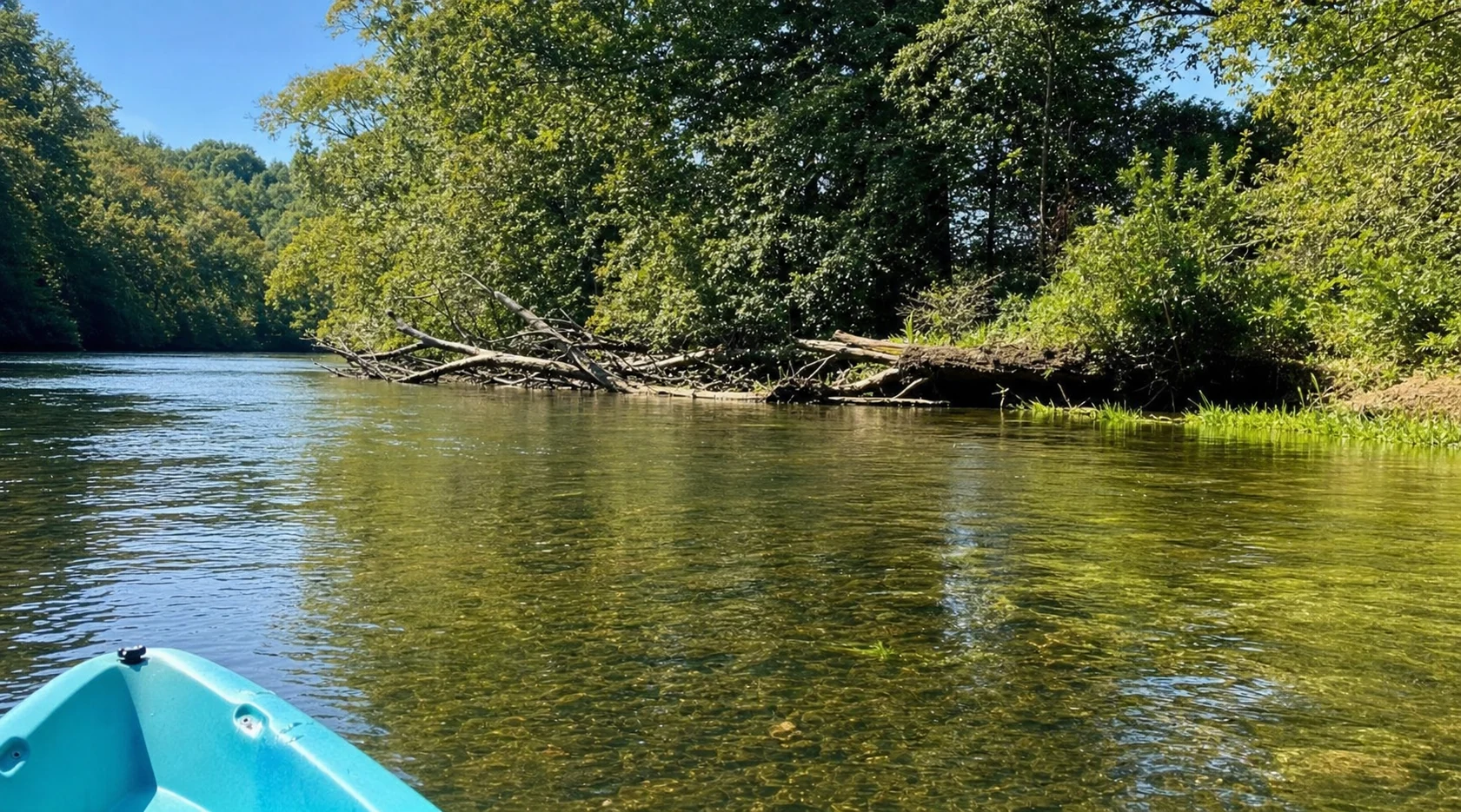 Toccoa River