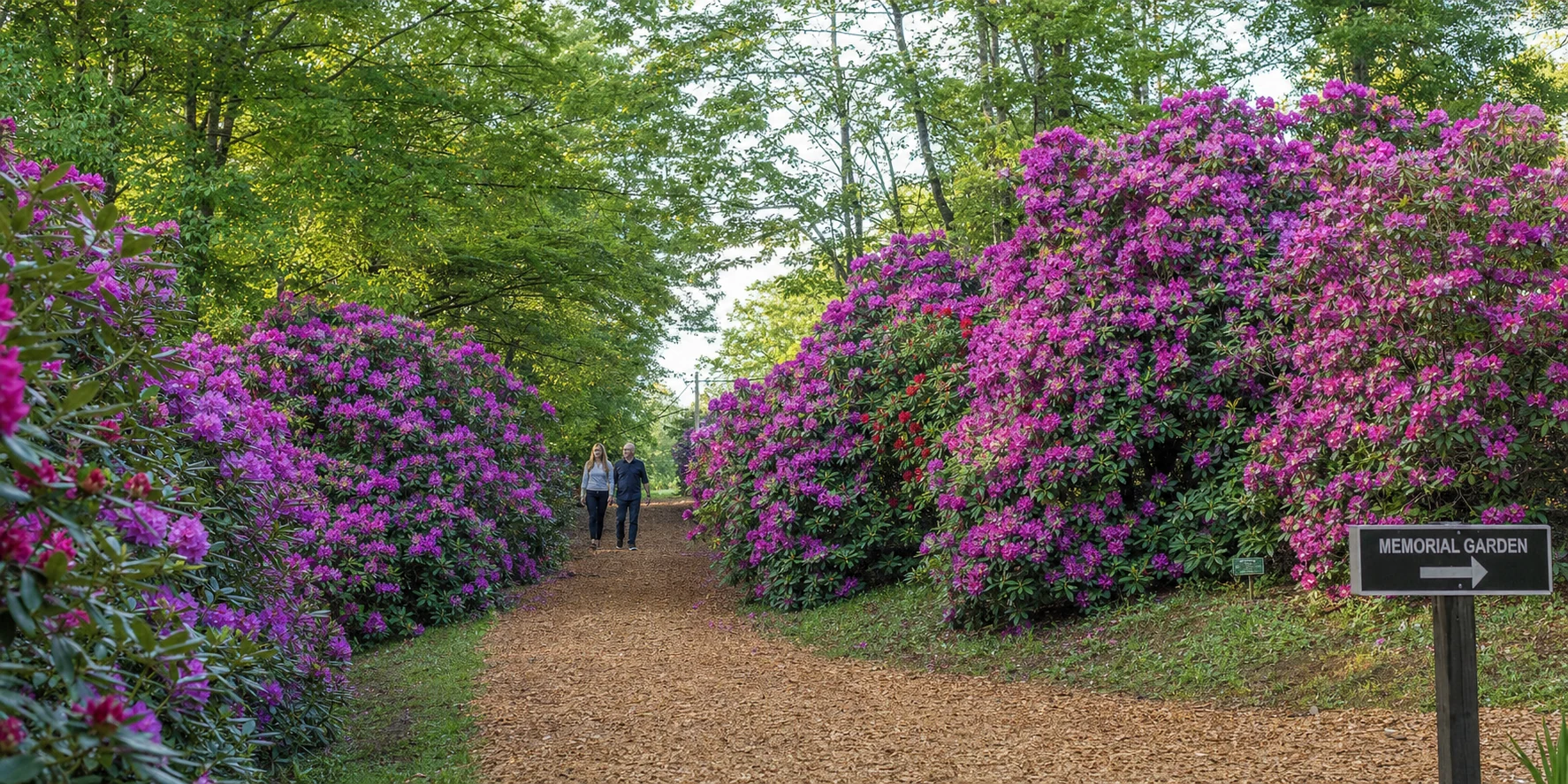 Hamilton Gardens