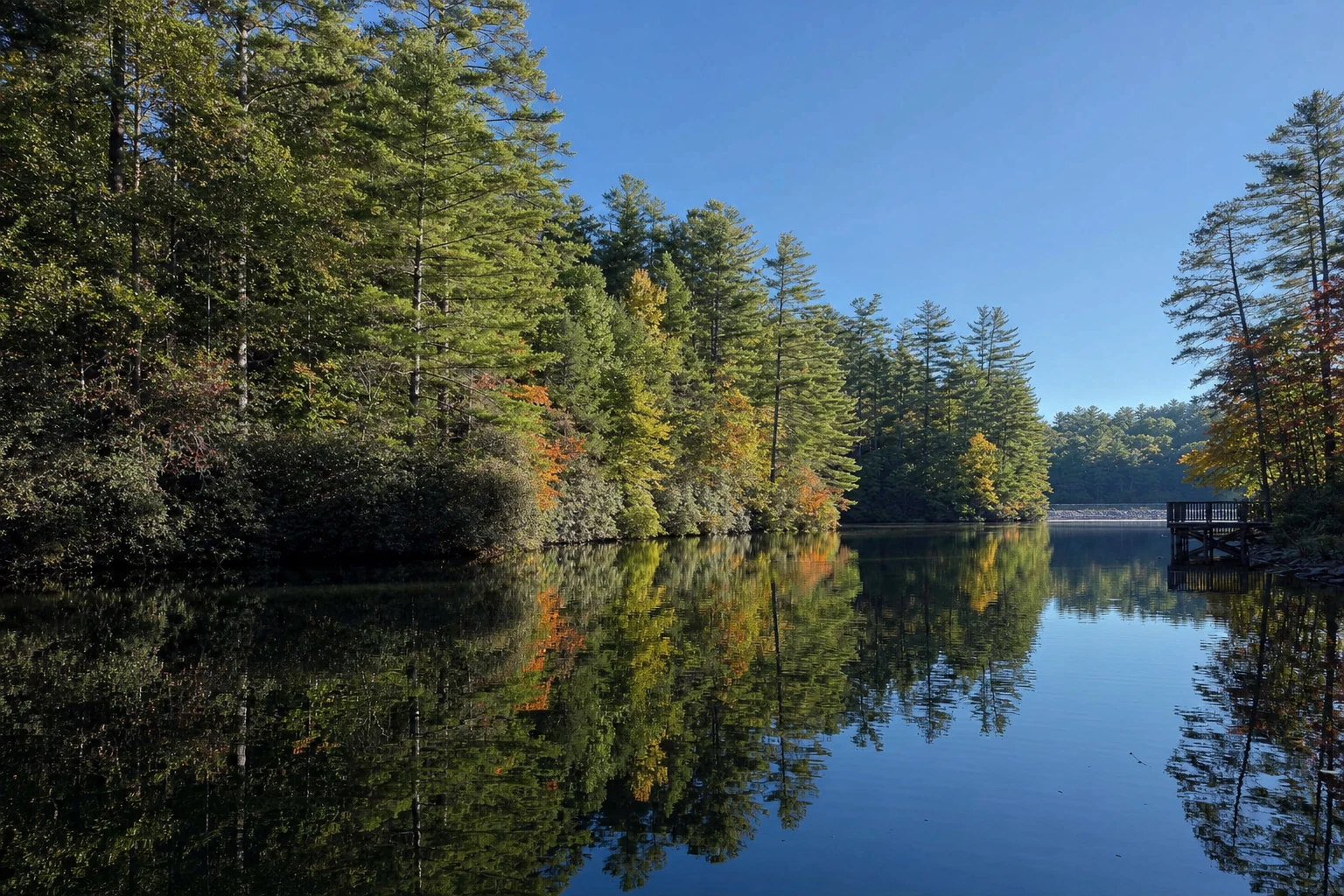Unicoi State Park