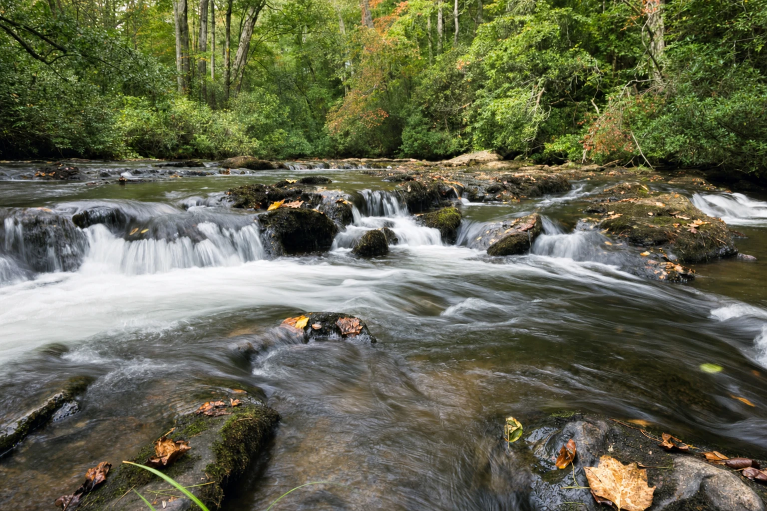 Dukes Creek