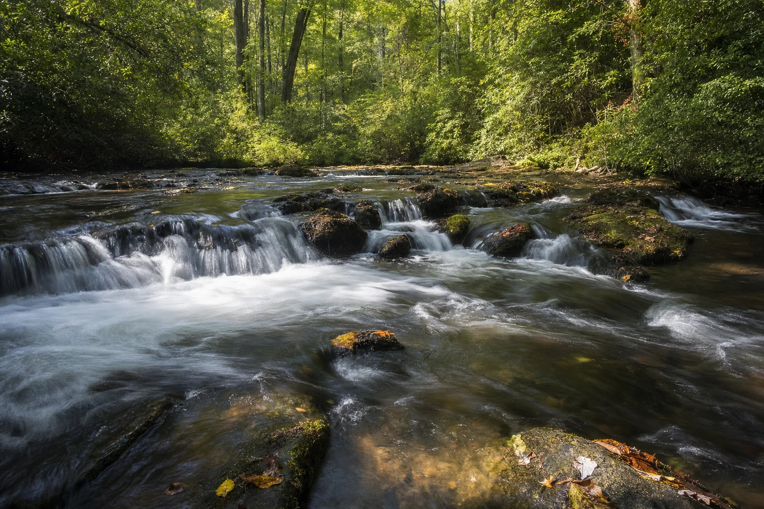 Martin's Mine Trail