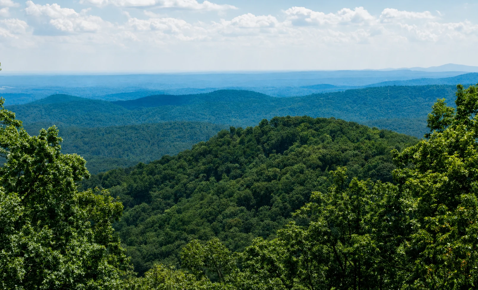 Chattahoochee-Oconee National Forest