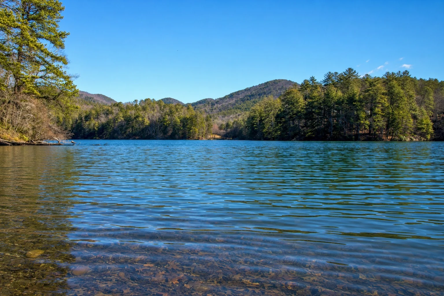 Unicoi State Park