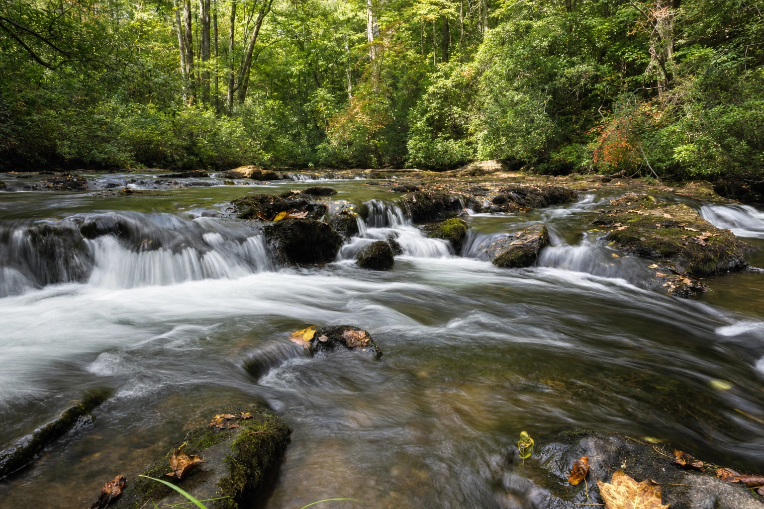 Smithgall Woods State Park
