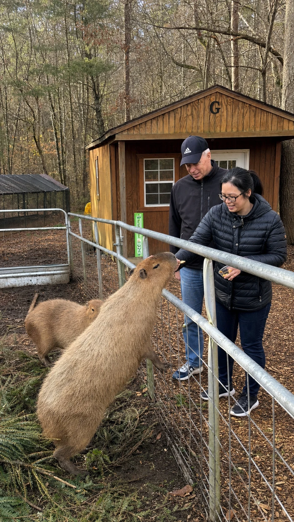 North Georgia Wildlife Park