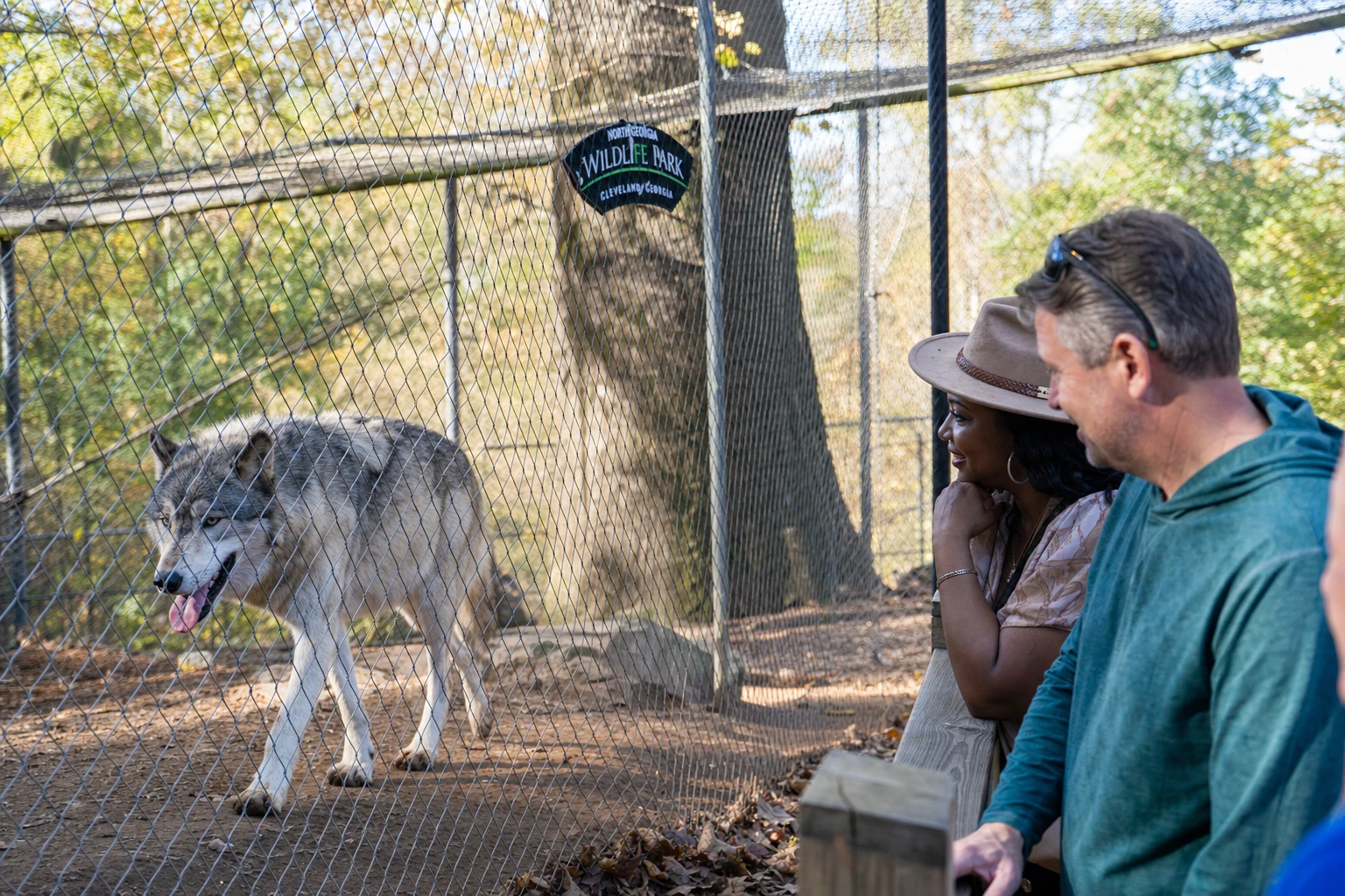 Gray Wolf Encounter at North Georgia Wildlife Park
