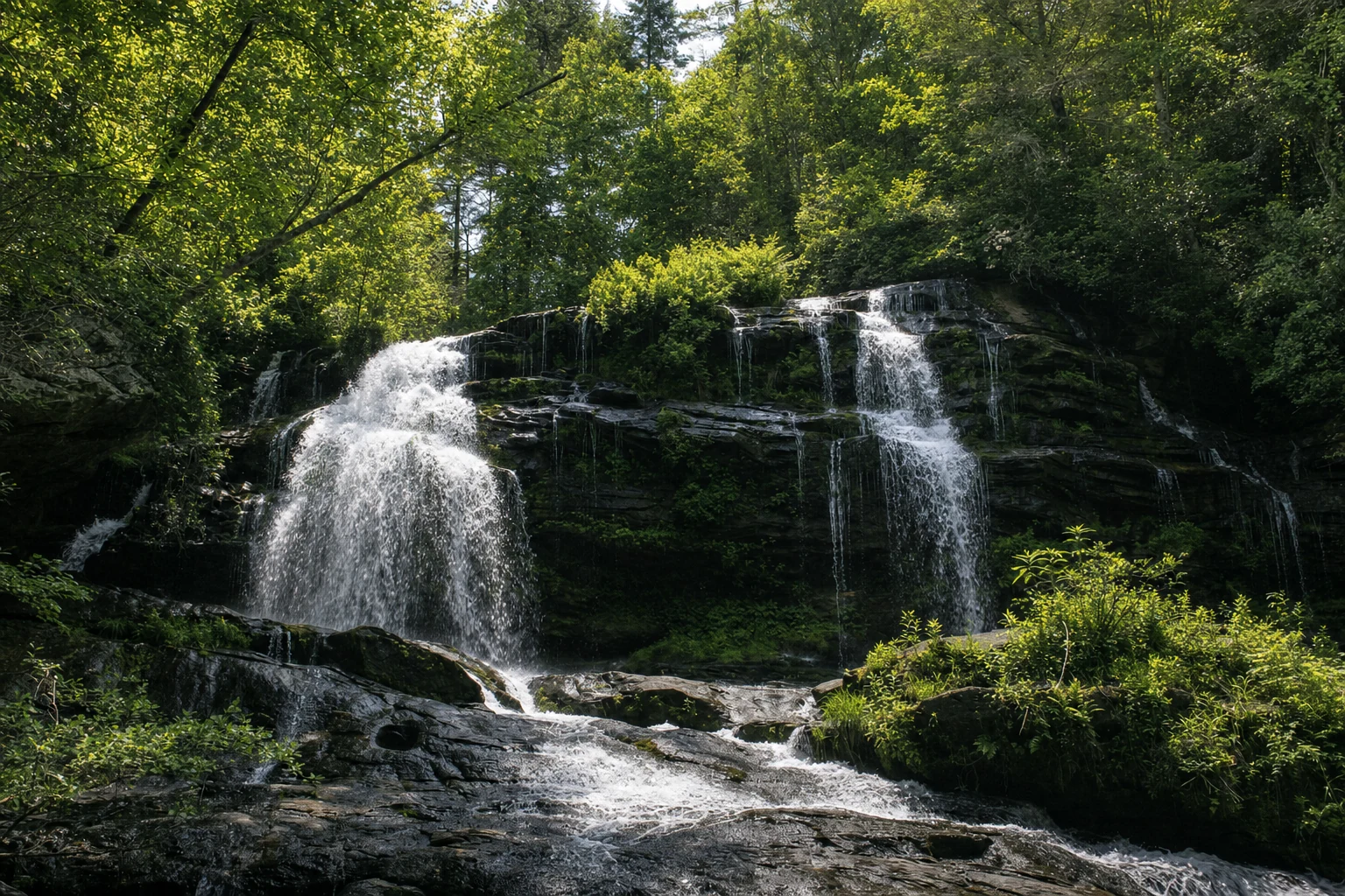Chattahoochee National Forest