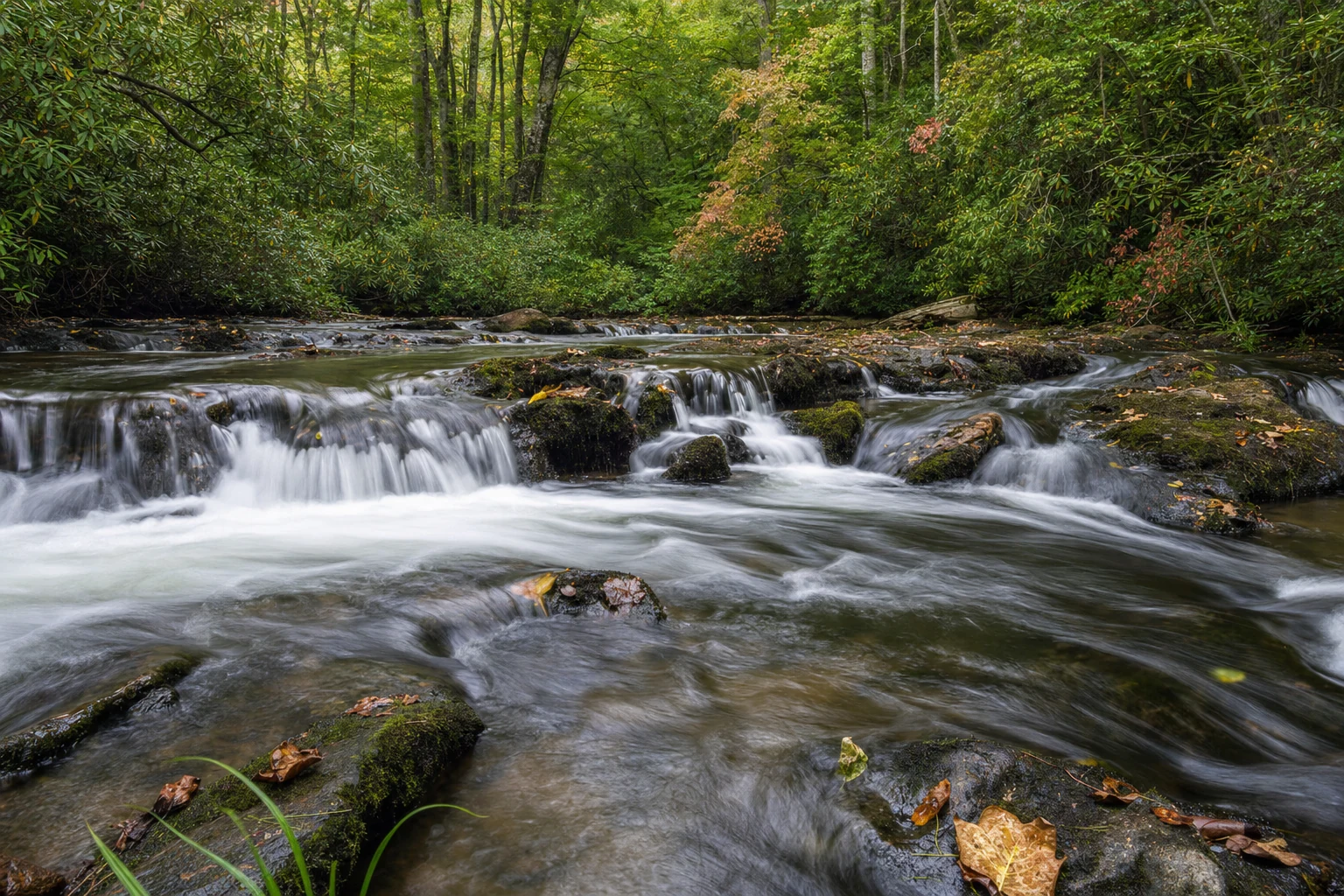 Smithgall Woods State Park