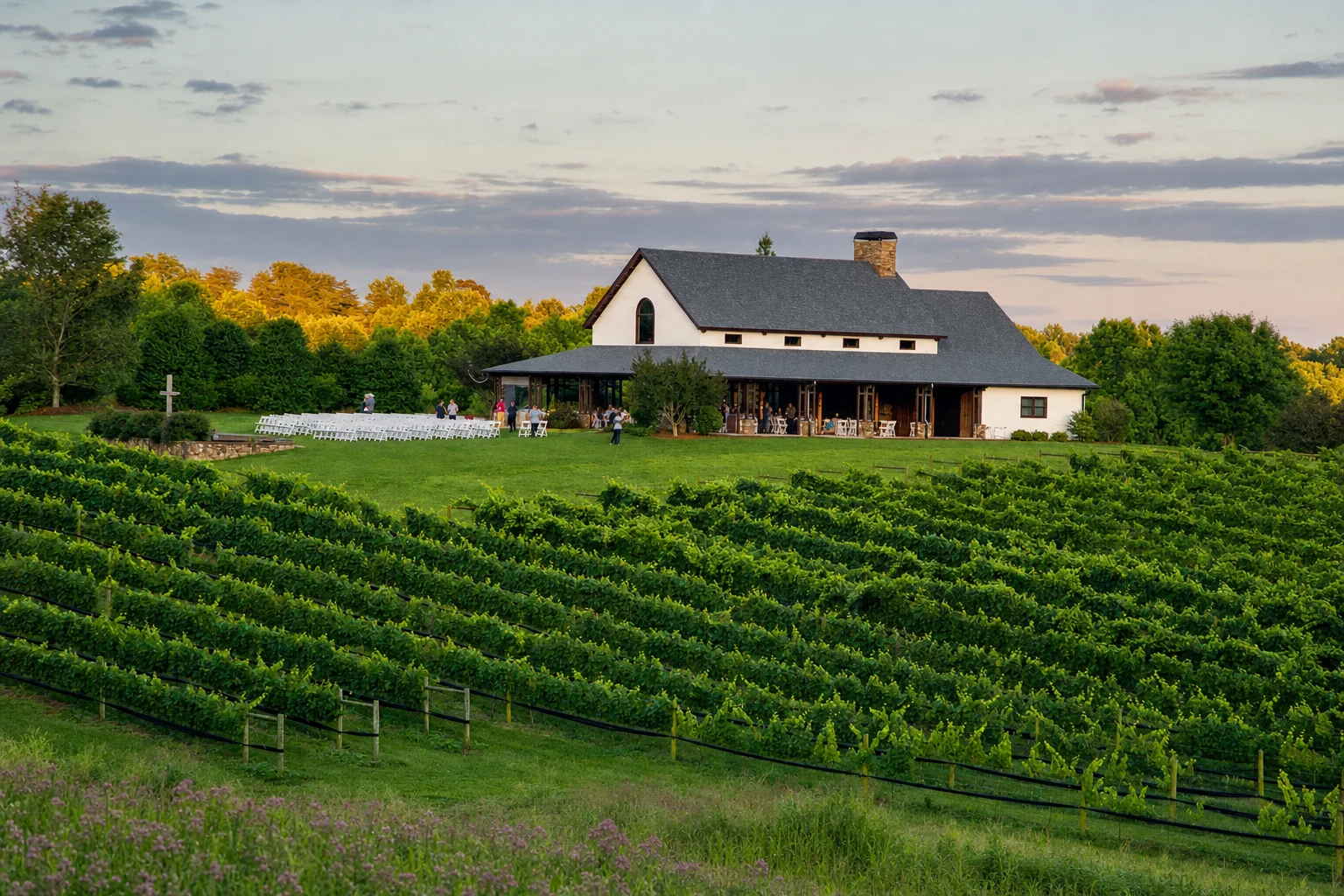 CeNita Vineyards