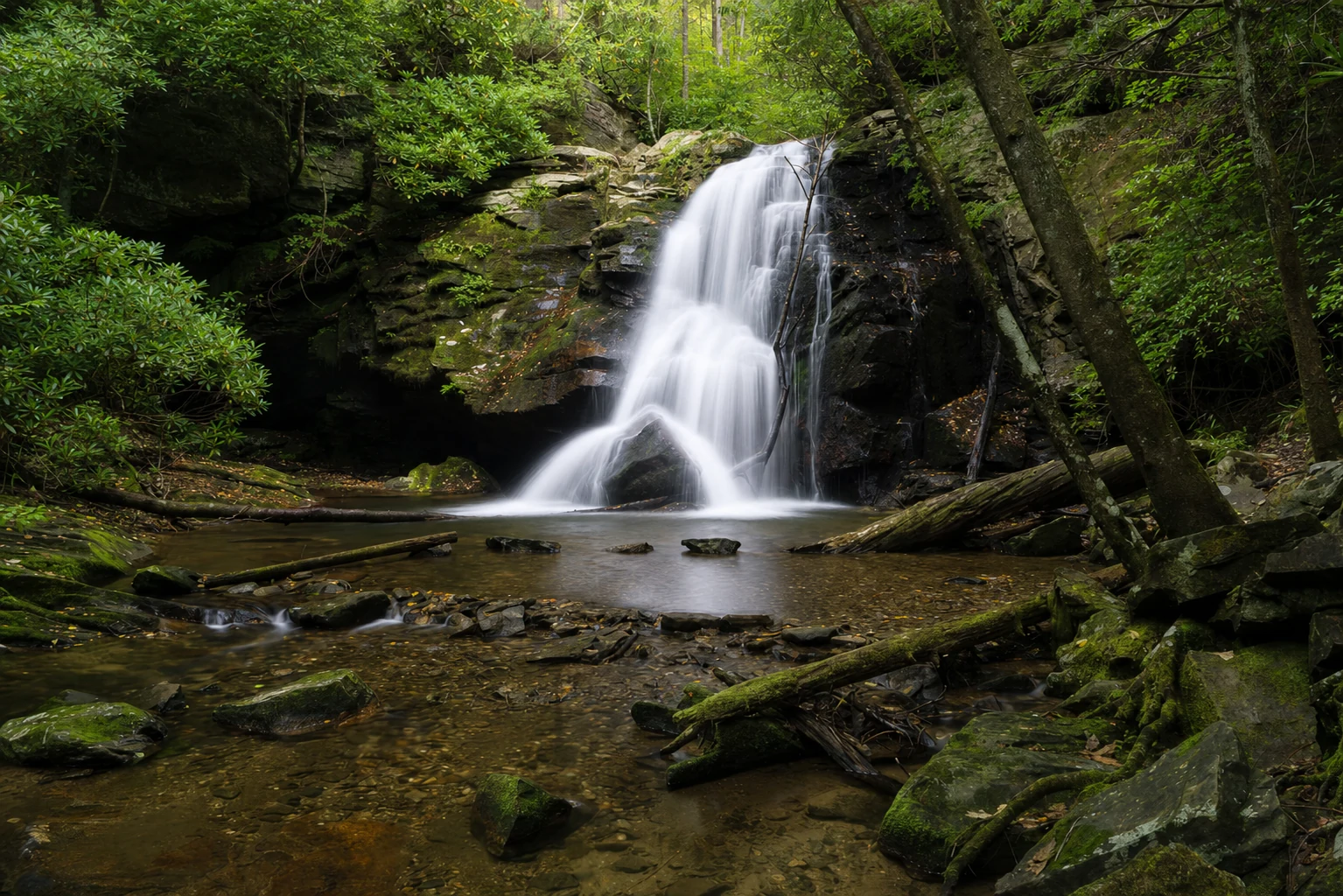 Dodd Creek Trail Corridor