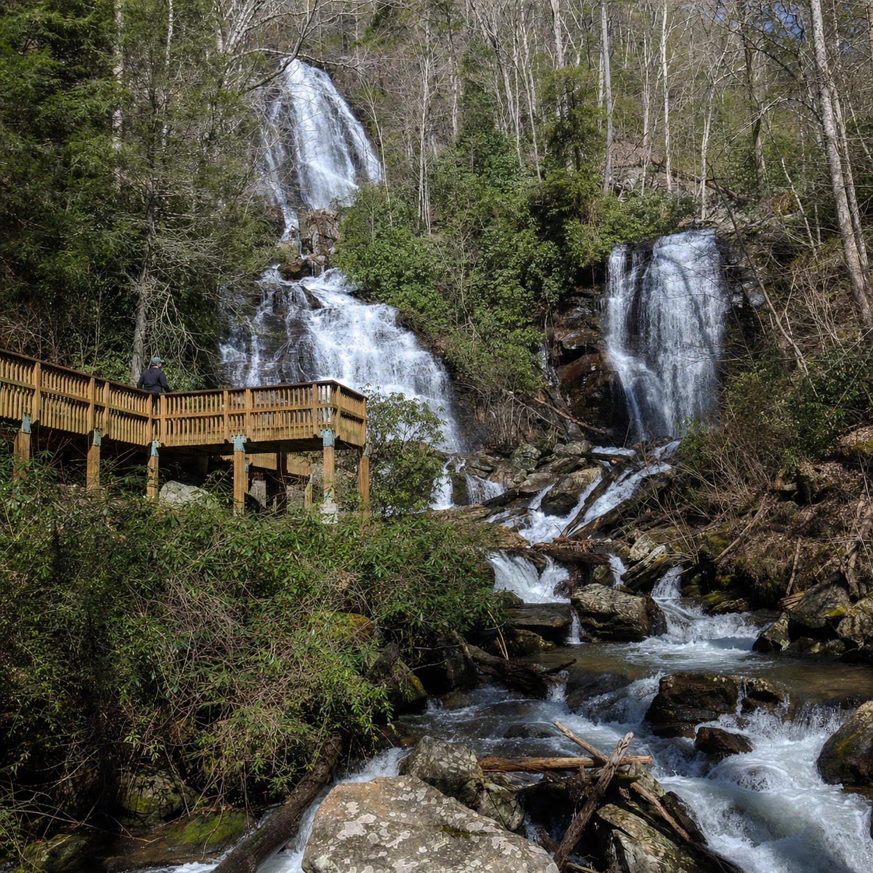 Raven Cliff Falls Trail