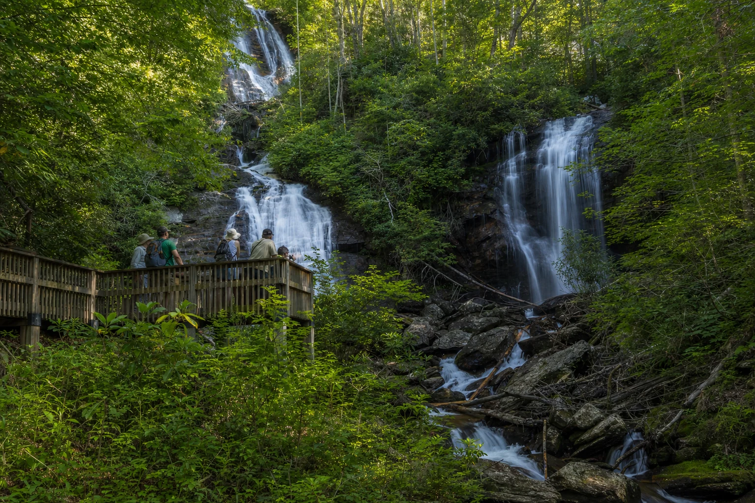 Rhododendron Tunnel (Smith Creek Trail)