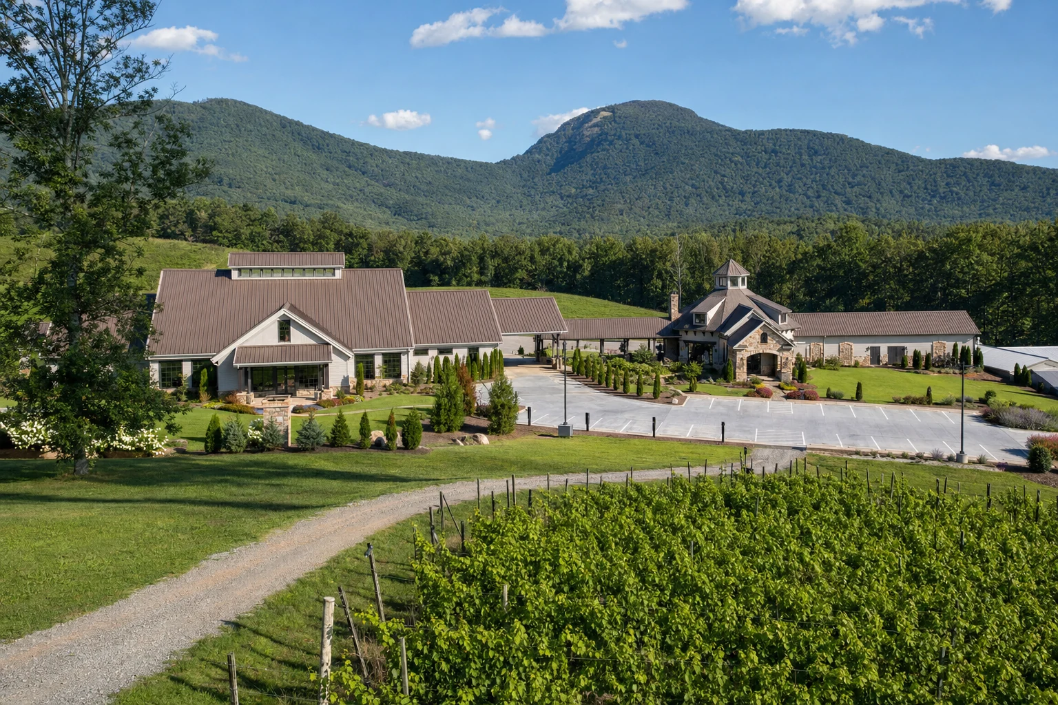 Yonah Mountain Vineyards