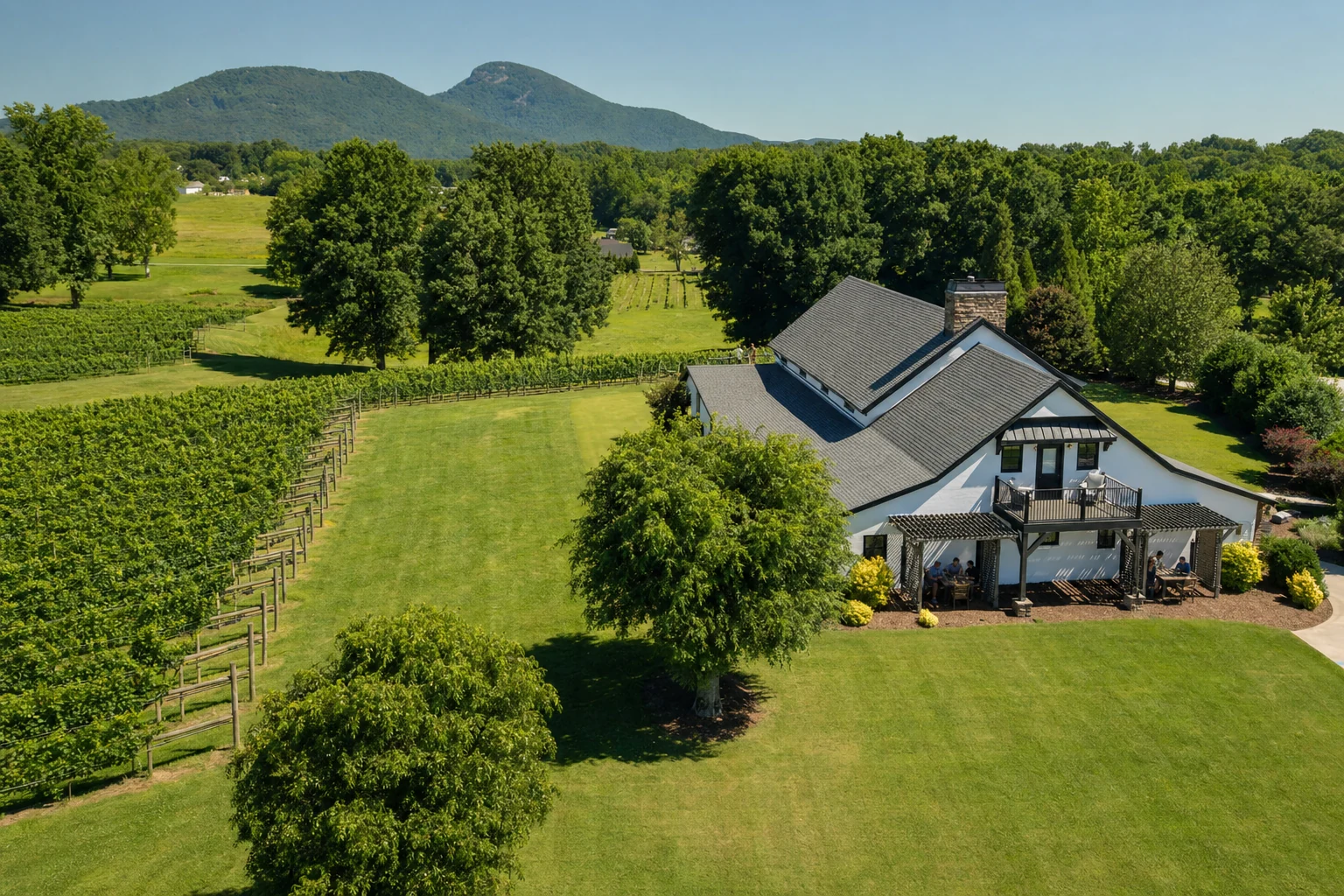 CeNita Vineyards