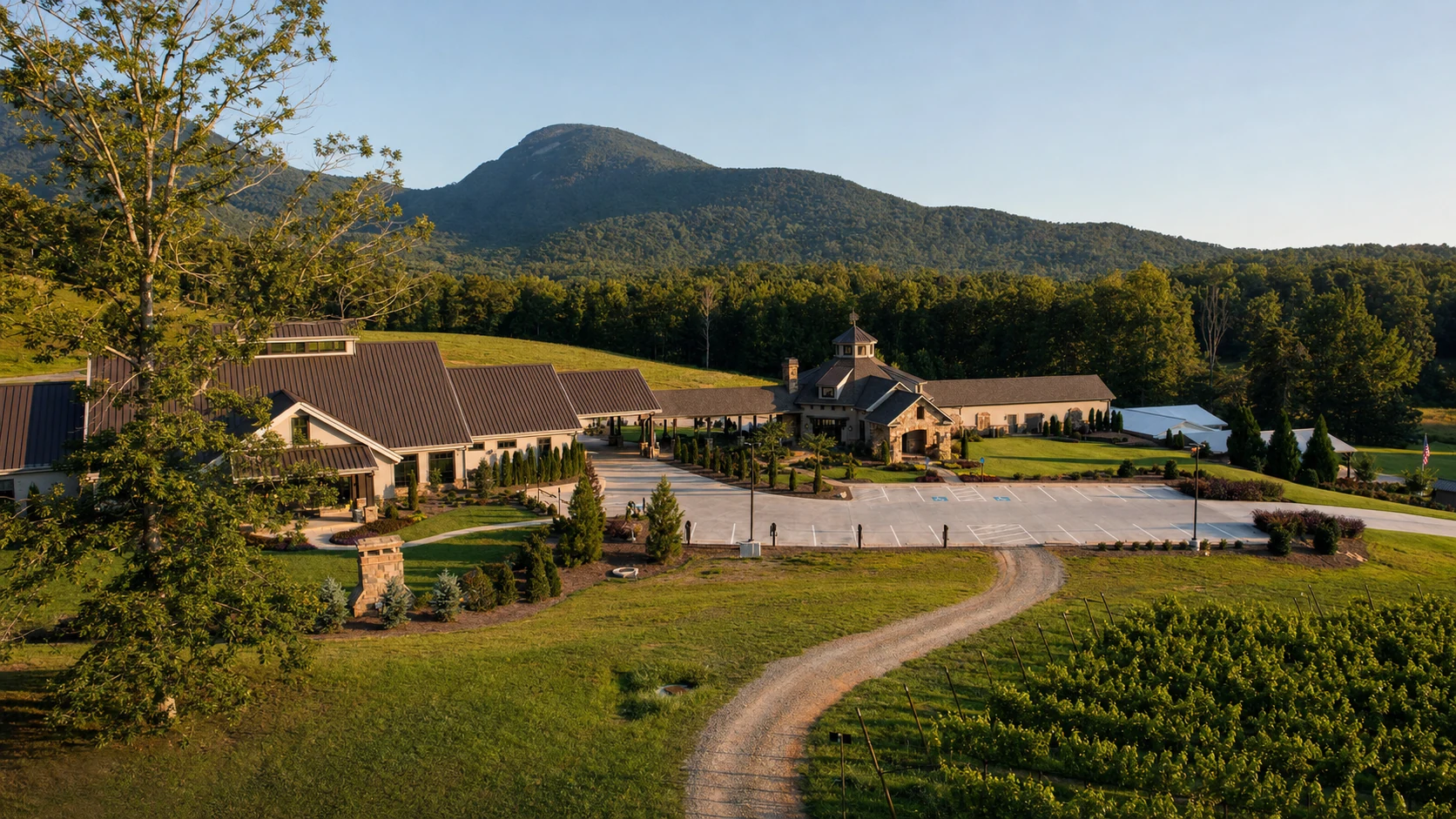 Yonah Mountain Vineyards