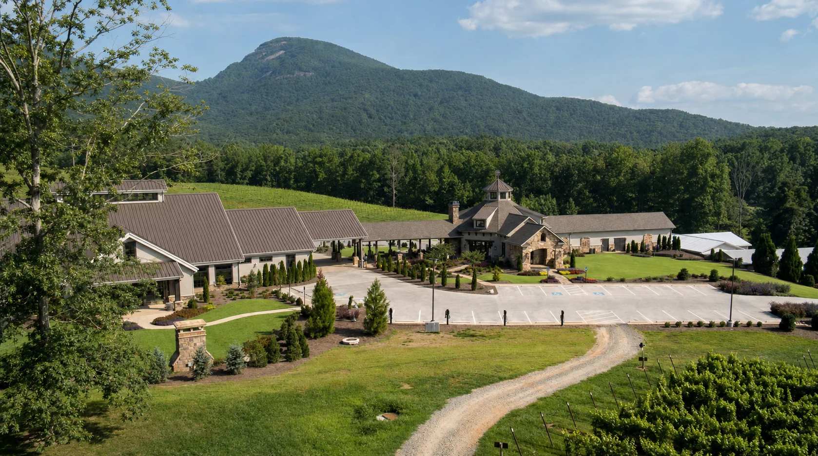 Yonah Mountain Vineyards