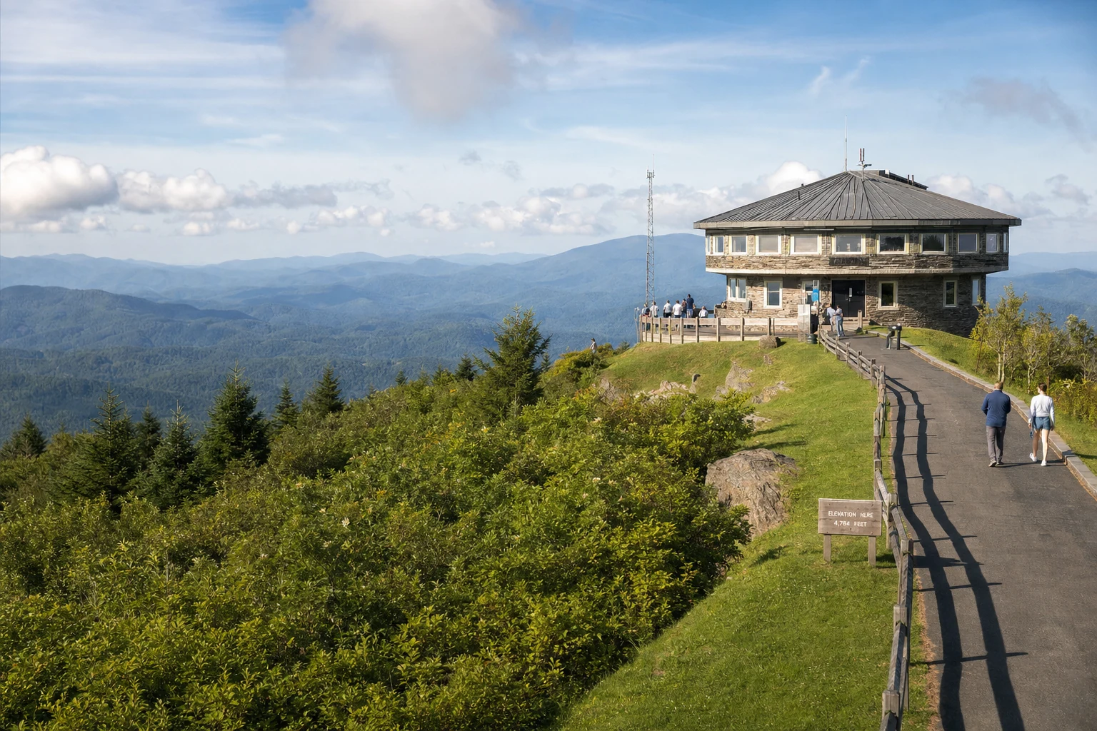 Brasstown Bald