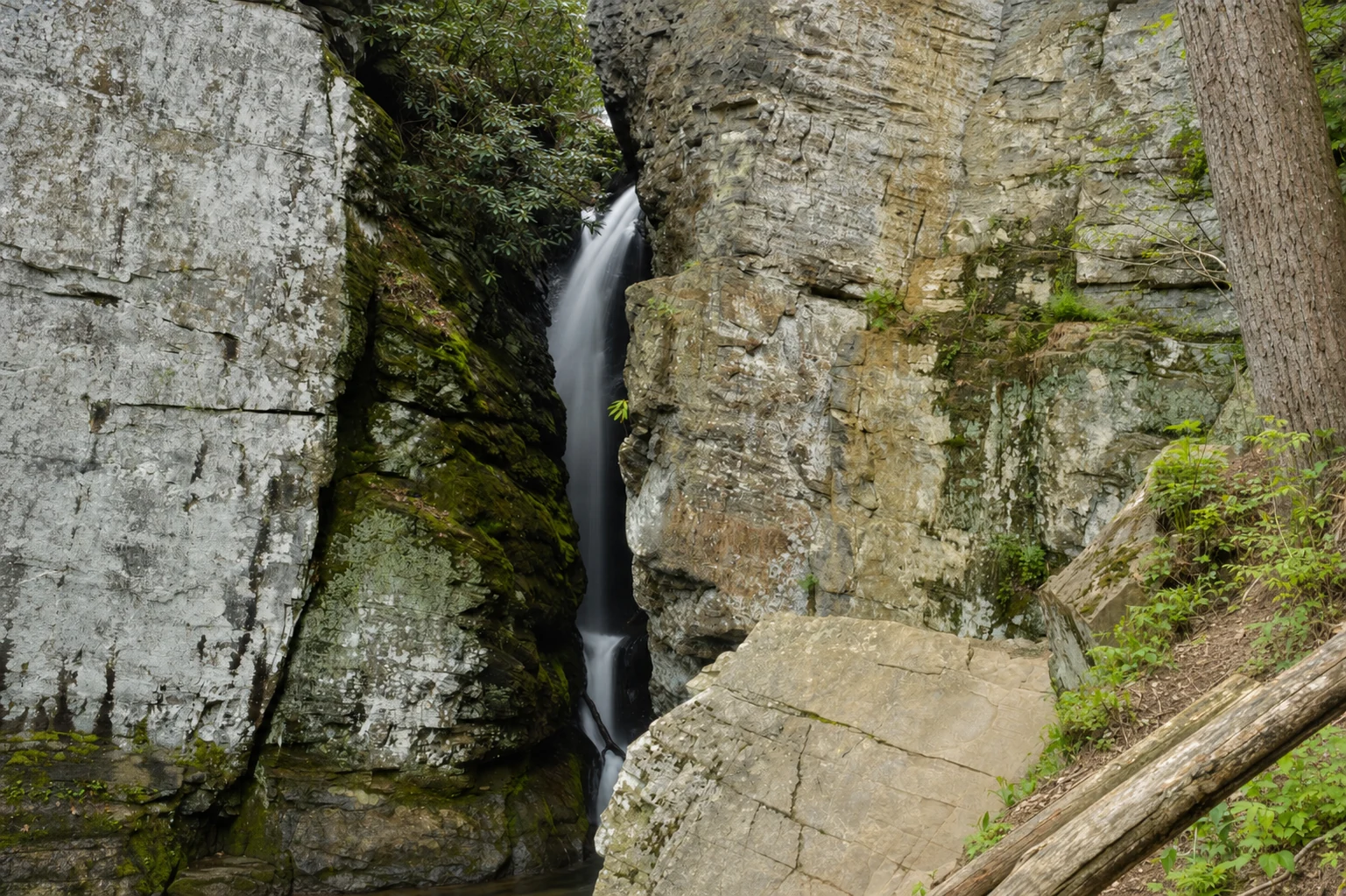 Raven Cliff Falls