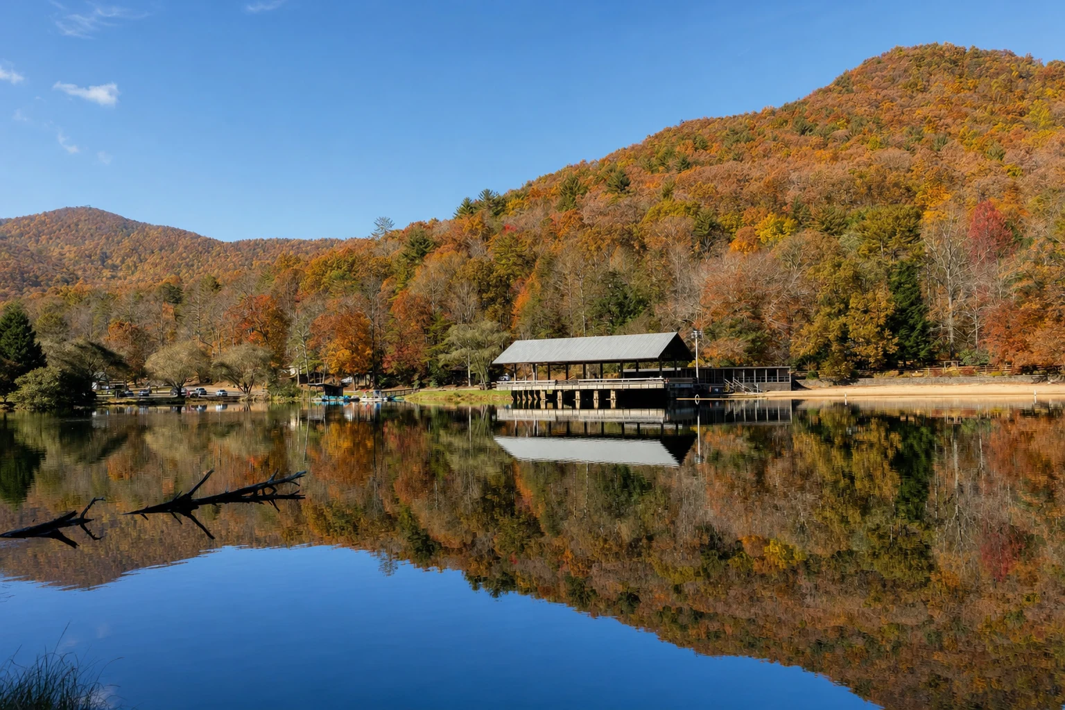 Vogel State Park
