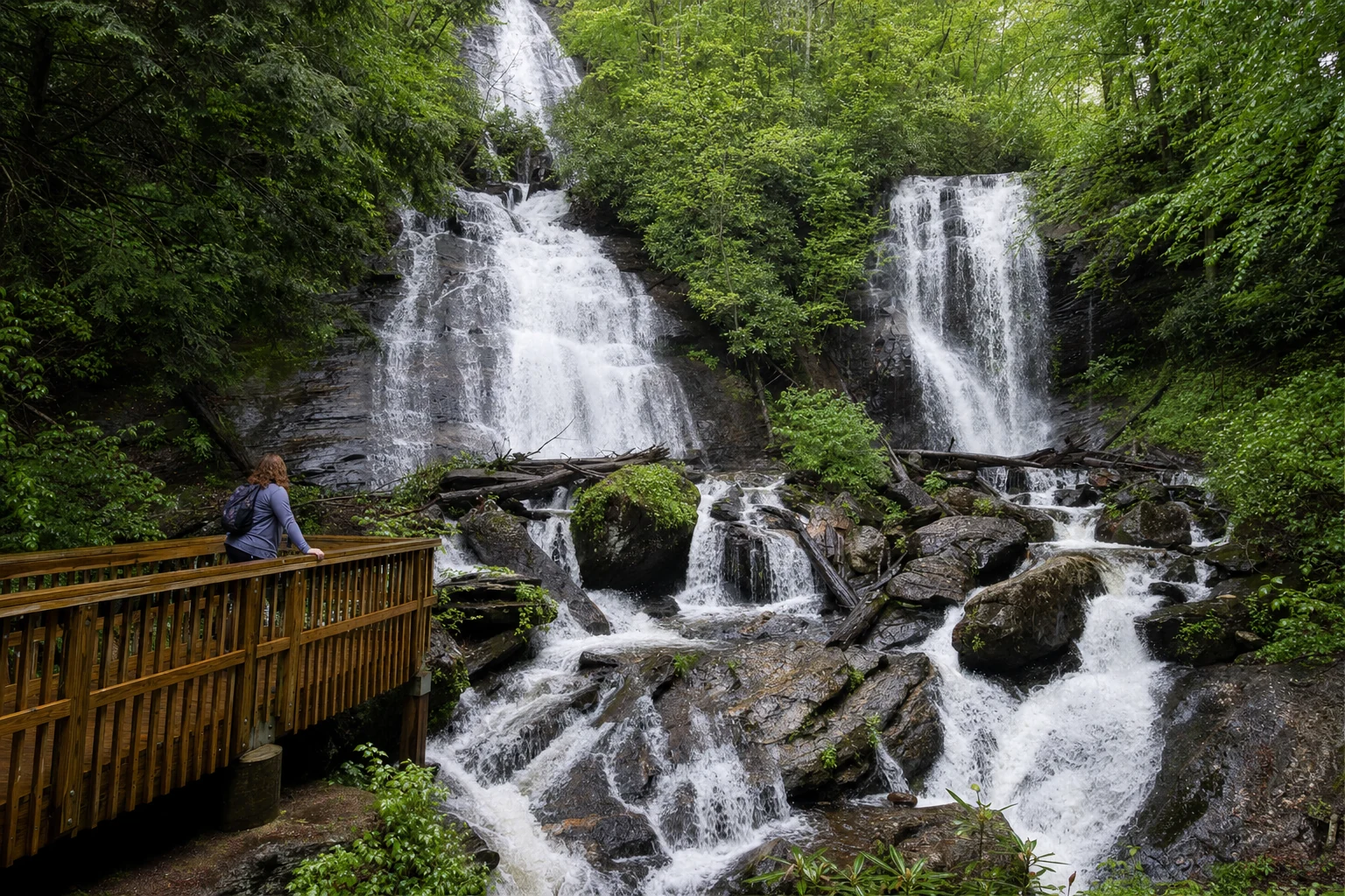 Anna Ruby Falls Trail