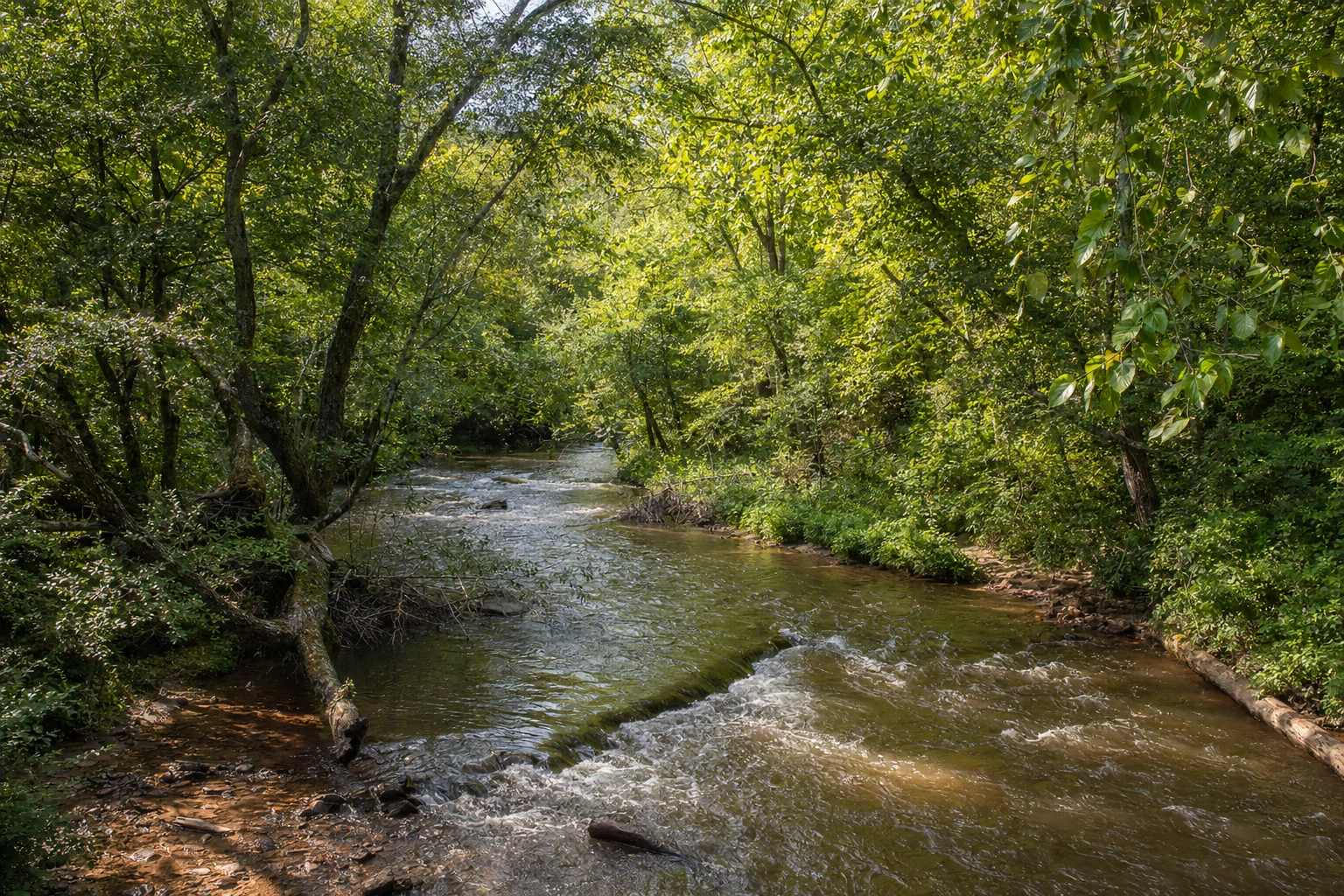 State of the River