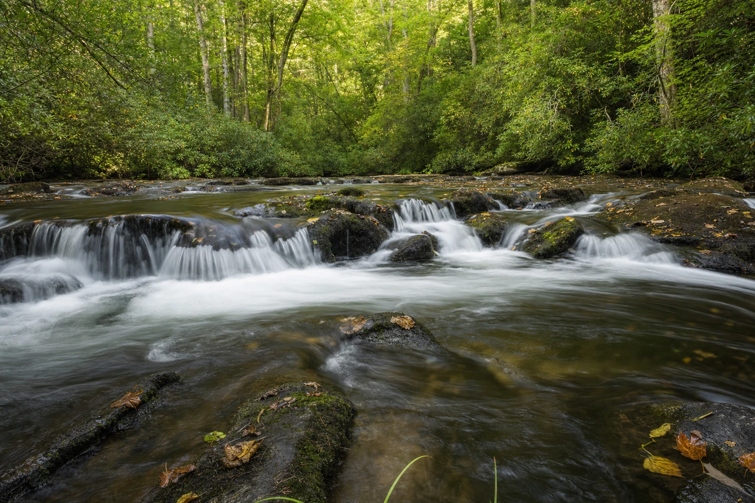 Smithgall Woods State Park
