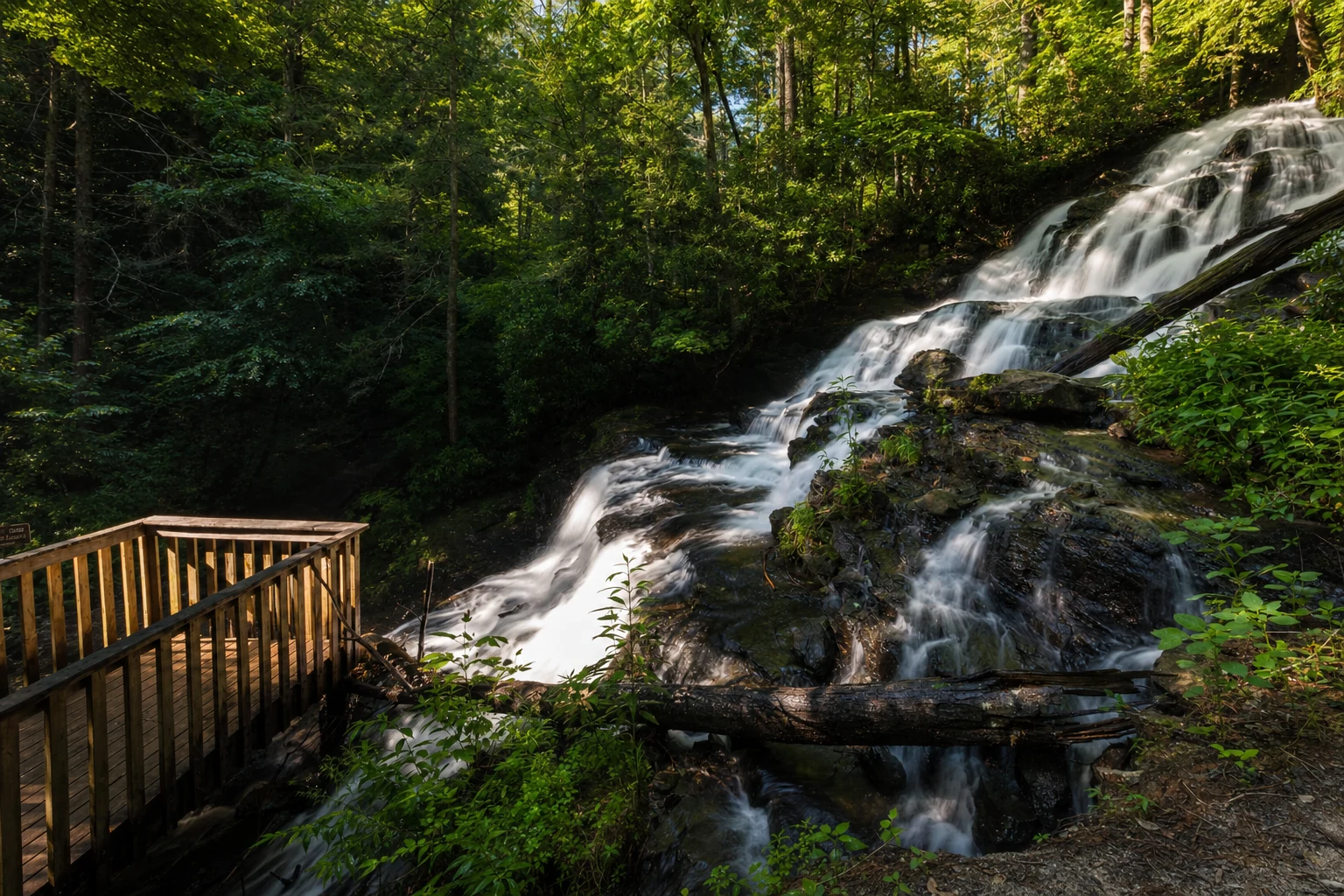Vogel State Park