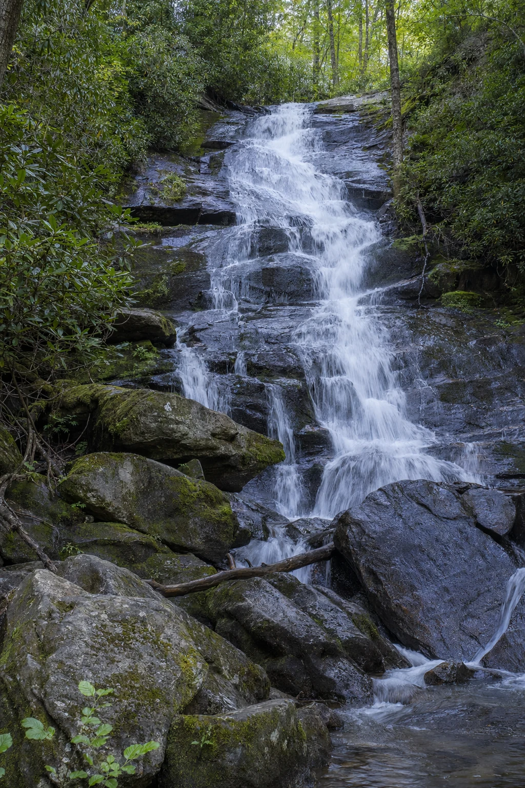 Water cascades down moss covered granite rocks at one of the accessible waterfalls near Helen, Georgia, with white rushing water creating misty spray as it tumbles over multiple tiers of stone. The waterfall is framed by lush rhododendron and mountain laurel vegetation clinging to the wet rocks, their dark green leaves contrasting with the white water flow. Smooth boulders at the base of the falls are darkened by constant moisture, and the surrounding rock faces show layers of geological history in varied gray and brown tones. The scene captures the power and beauty of Southern Appalachian waterways during a season of healthy water flow, typical of the numerous cascades found along hiking trails radiating from Helen into the surrounding national forest.