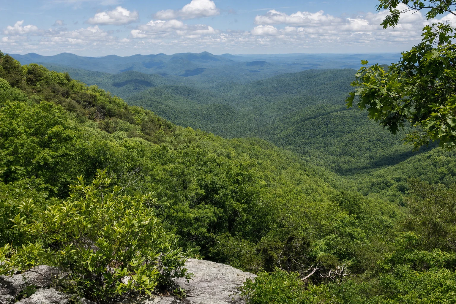 Appalachian Trail Hogpen Cowrock