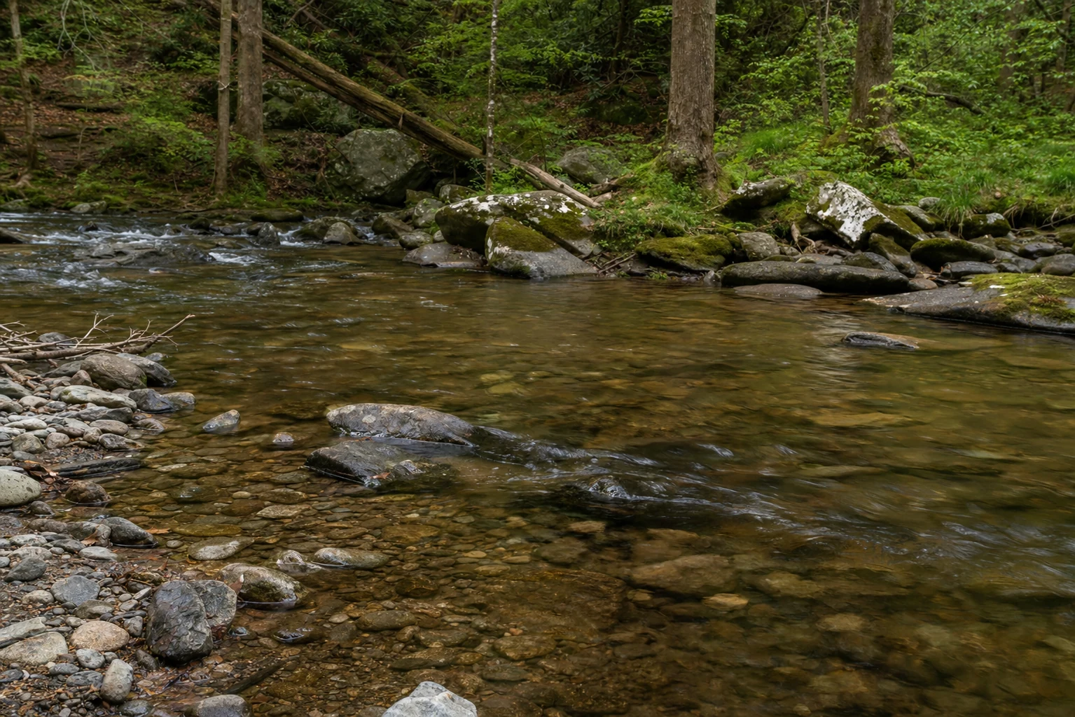 Dukes Creek at Smithgall Woods