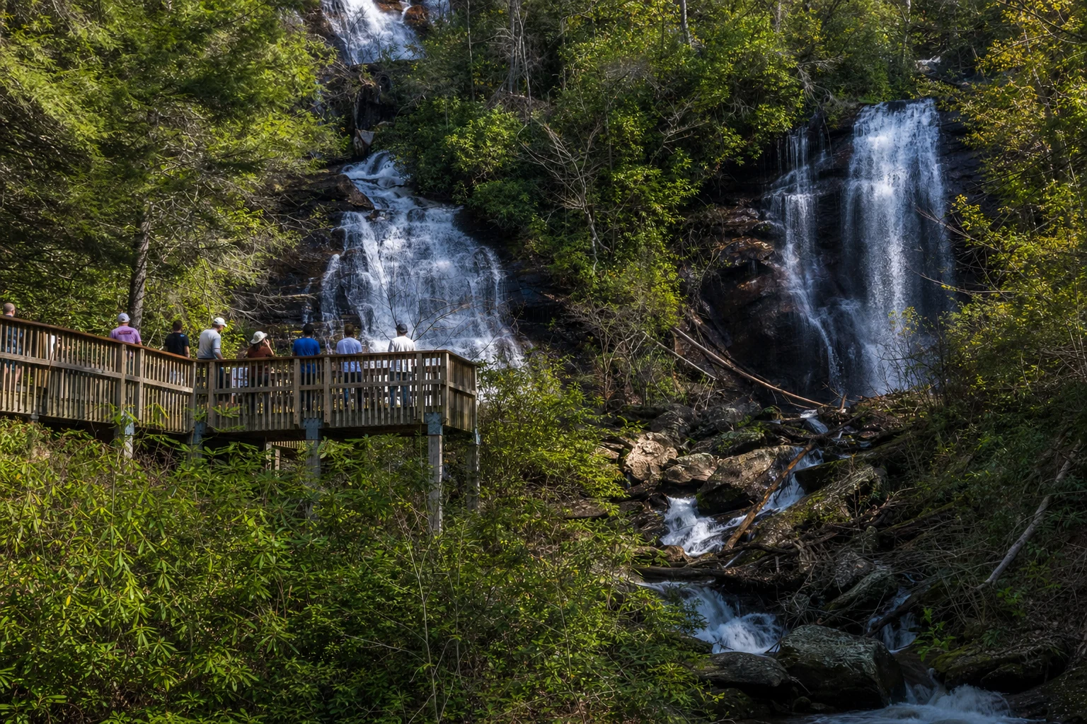 Anna Ruby Falls Trail