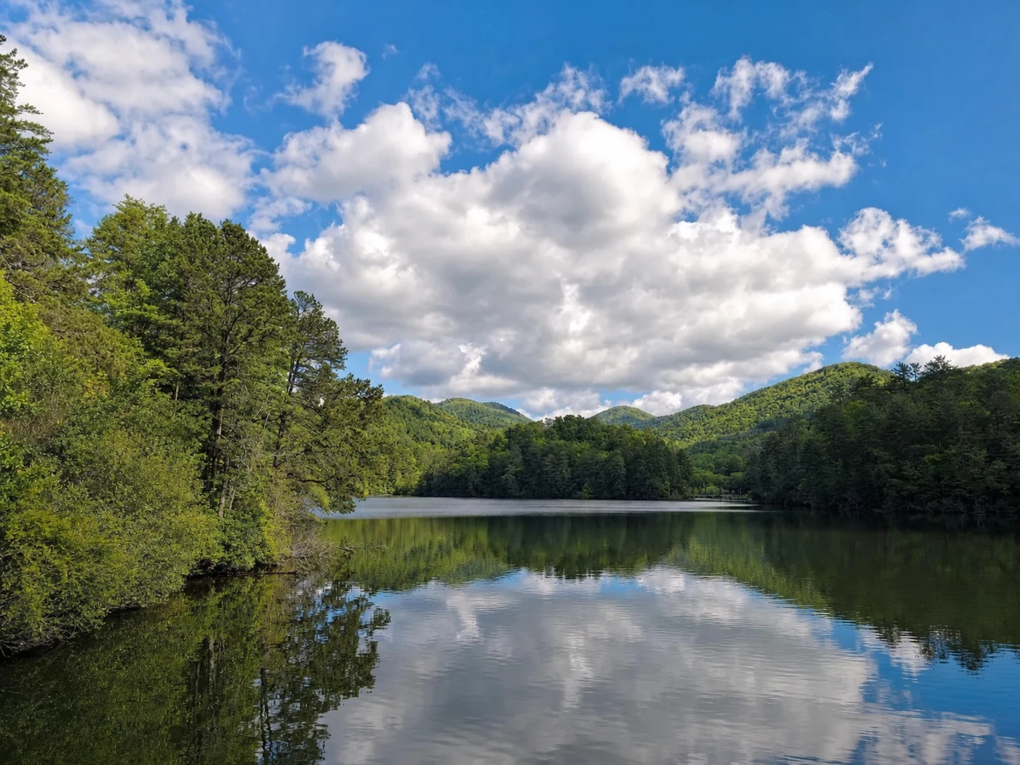 Unicoi Lake Loop Trail