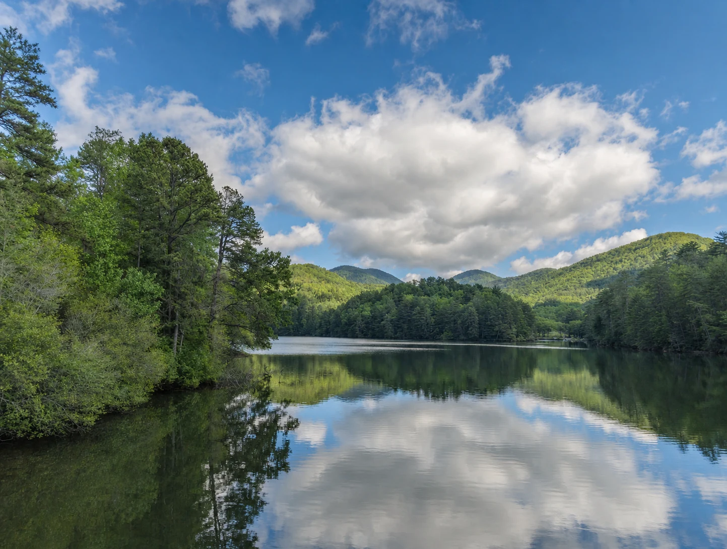 Unicoi Lake