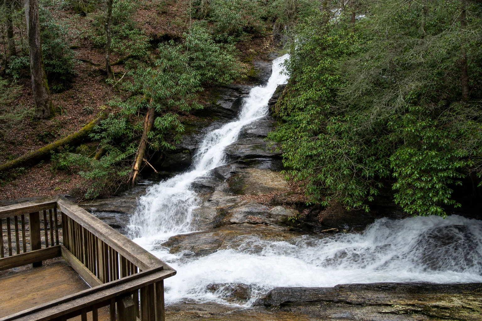 Dukes Creek Falls Boardwalk Trail