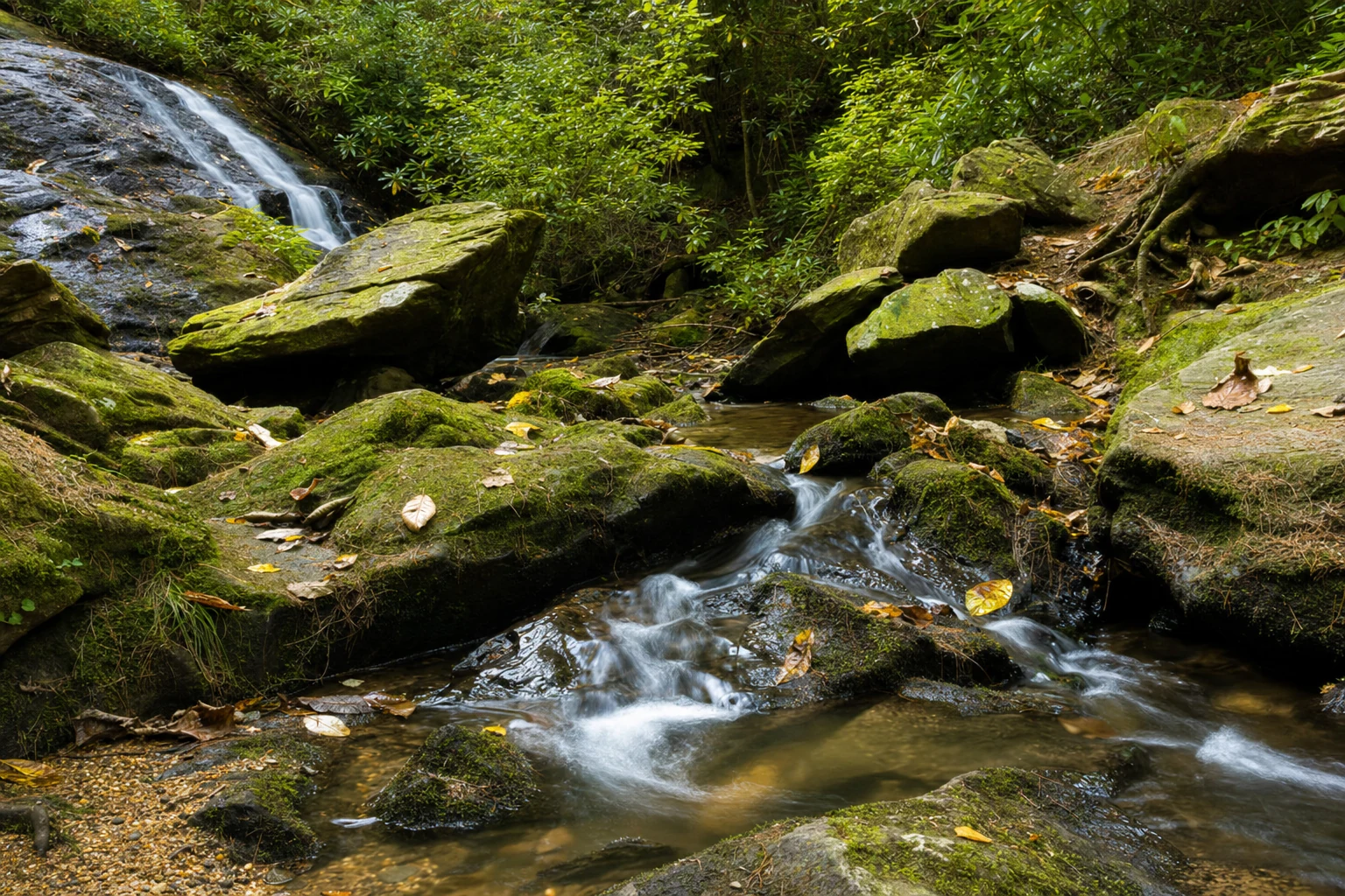 Smithgall Woods State Park