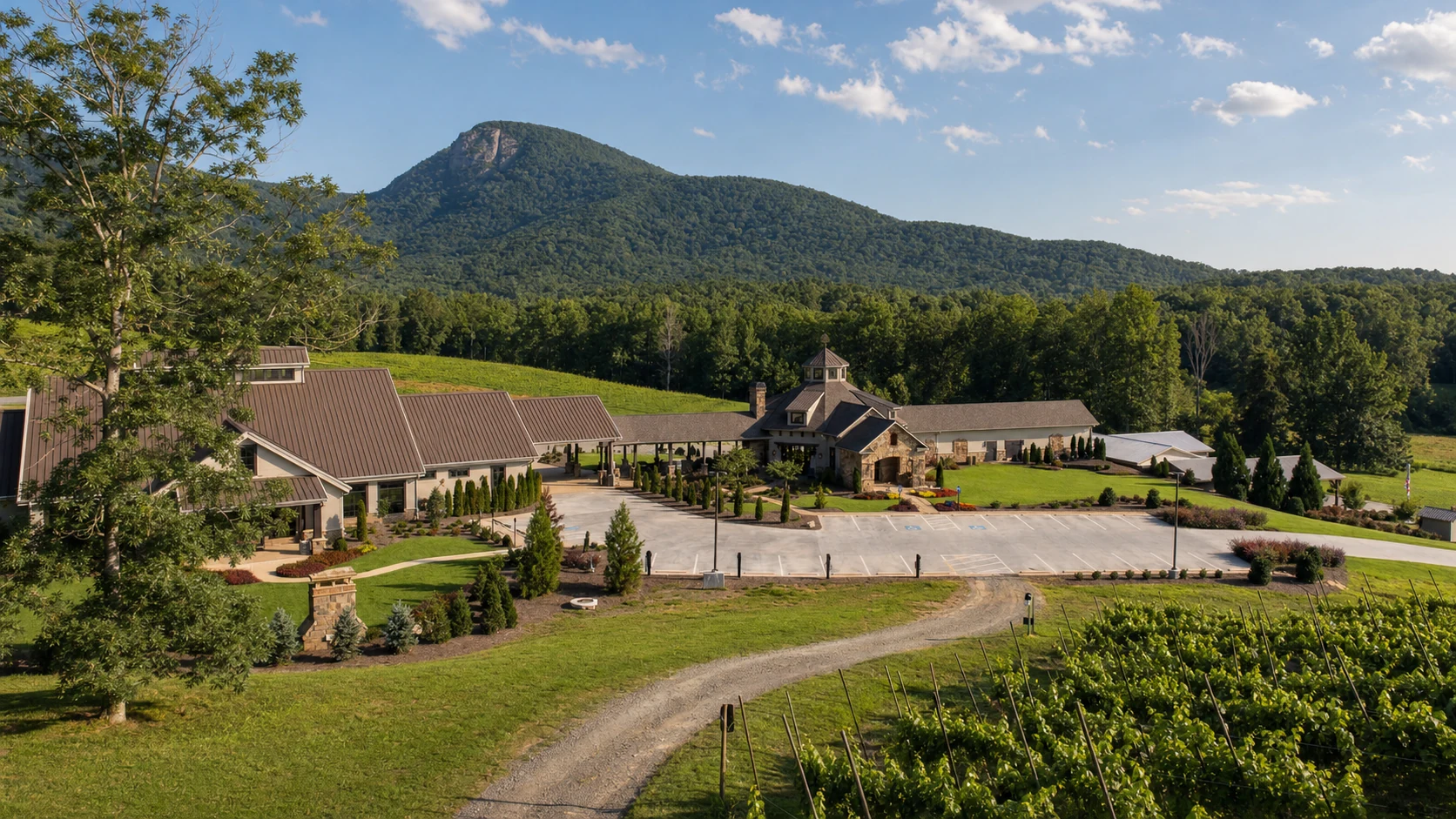 Yonah Mountain Vineyards
